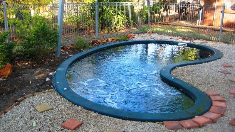 51 Callistemon Drive, KATHERINE NT 0850, Katherine East - Thumbnail 2