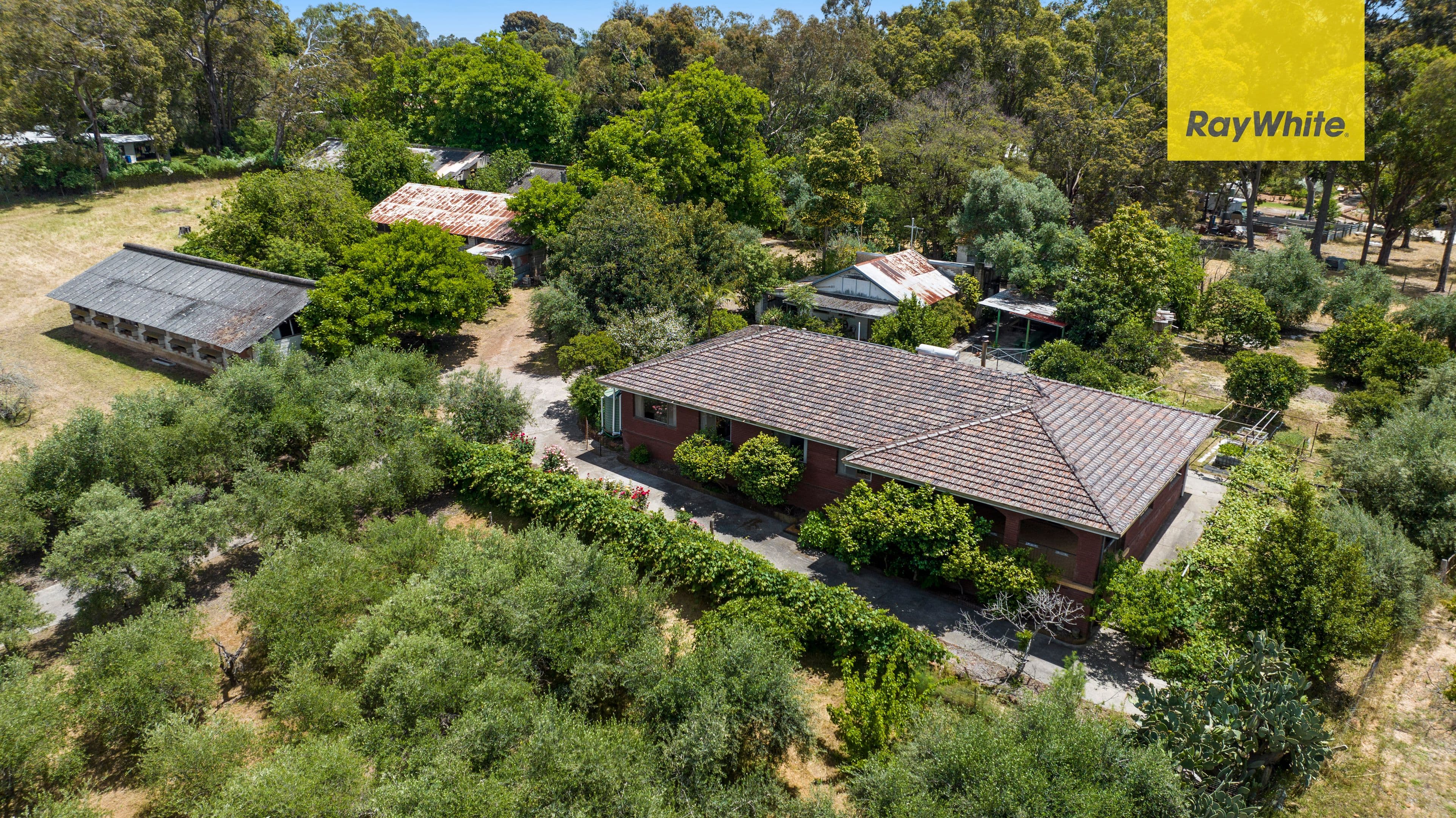 2295 Jacoby Street, Mundaring WA 6073, Mundaring - Thumbnail 4