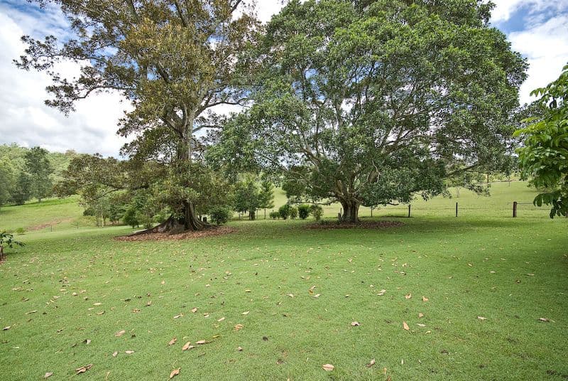 55 Pringles Road, KOBBLE CREEK QLD 4520, Kobble Creek - Thumbnail 5