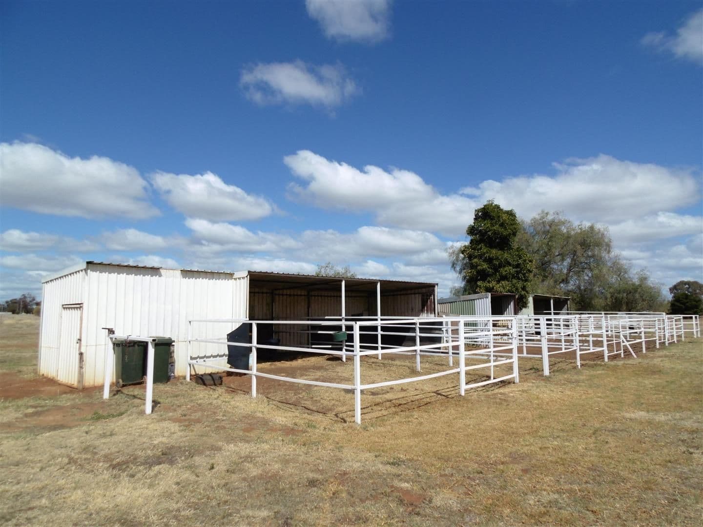Lot 522 Ingalba Street, Peak Hill NSW 2869, Peak Hill - Thumbnail 4