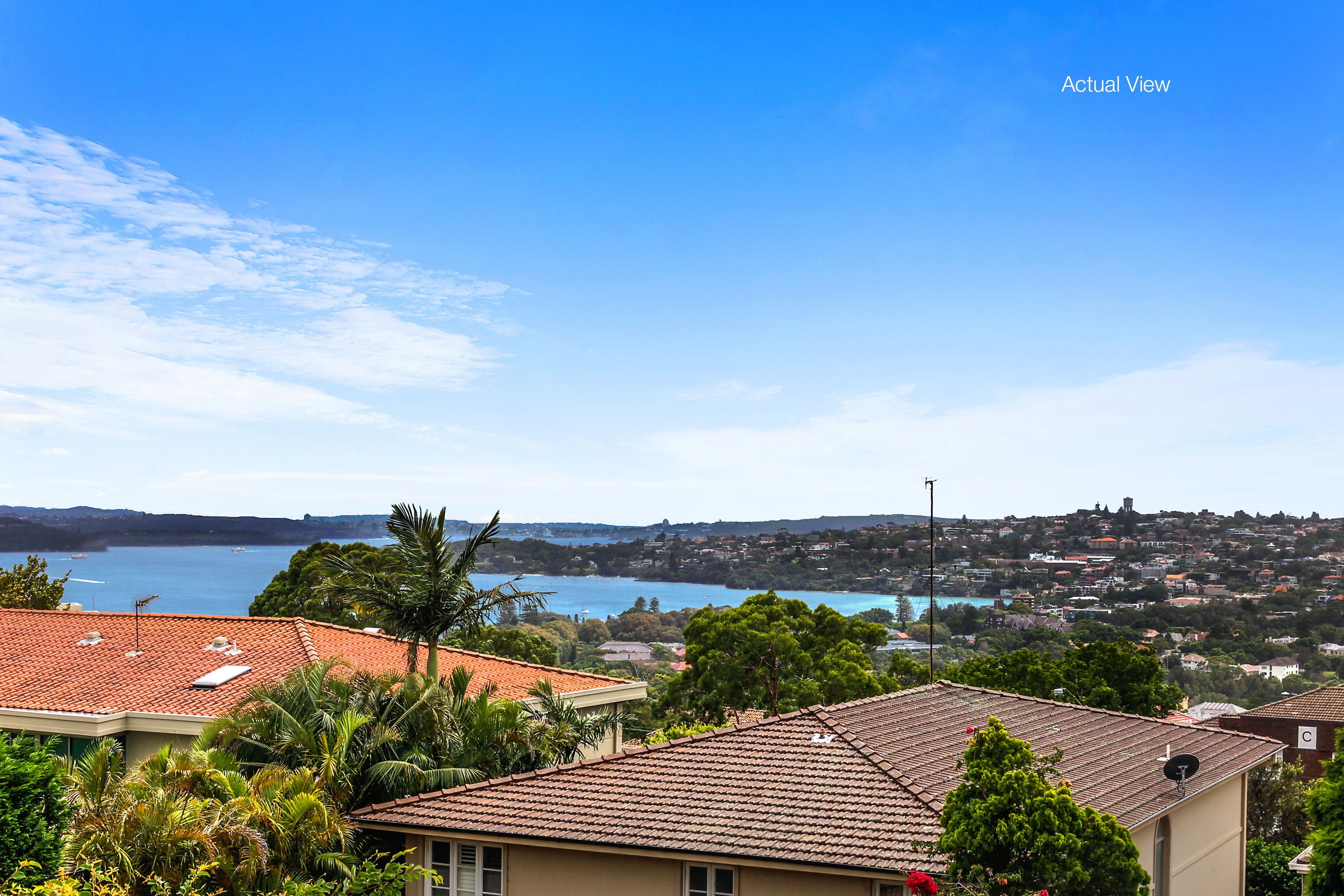 5 Bradley Avenue, Bellevue Hill NSW 2023, Bellevue Hill - Image 1