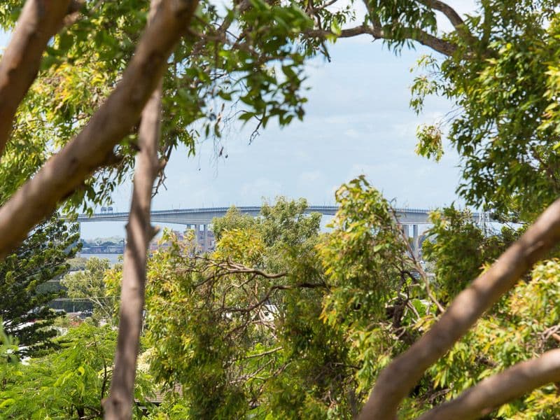 7 Taylor Street, Balmoral QLD 4171, Balmoral - Thumbnail 3