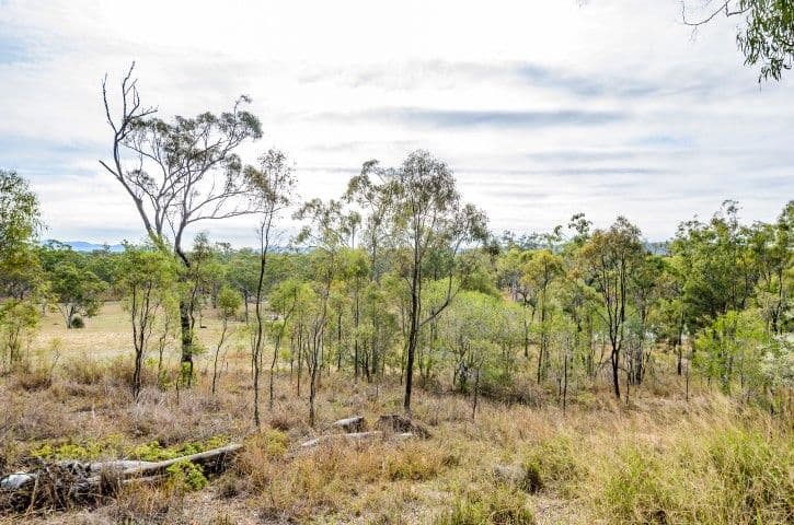 11 Riverview Drive, River Ranch QLD 4680, River Ranch - Thumbnail 5