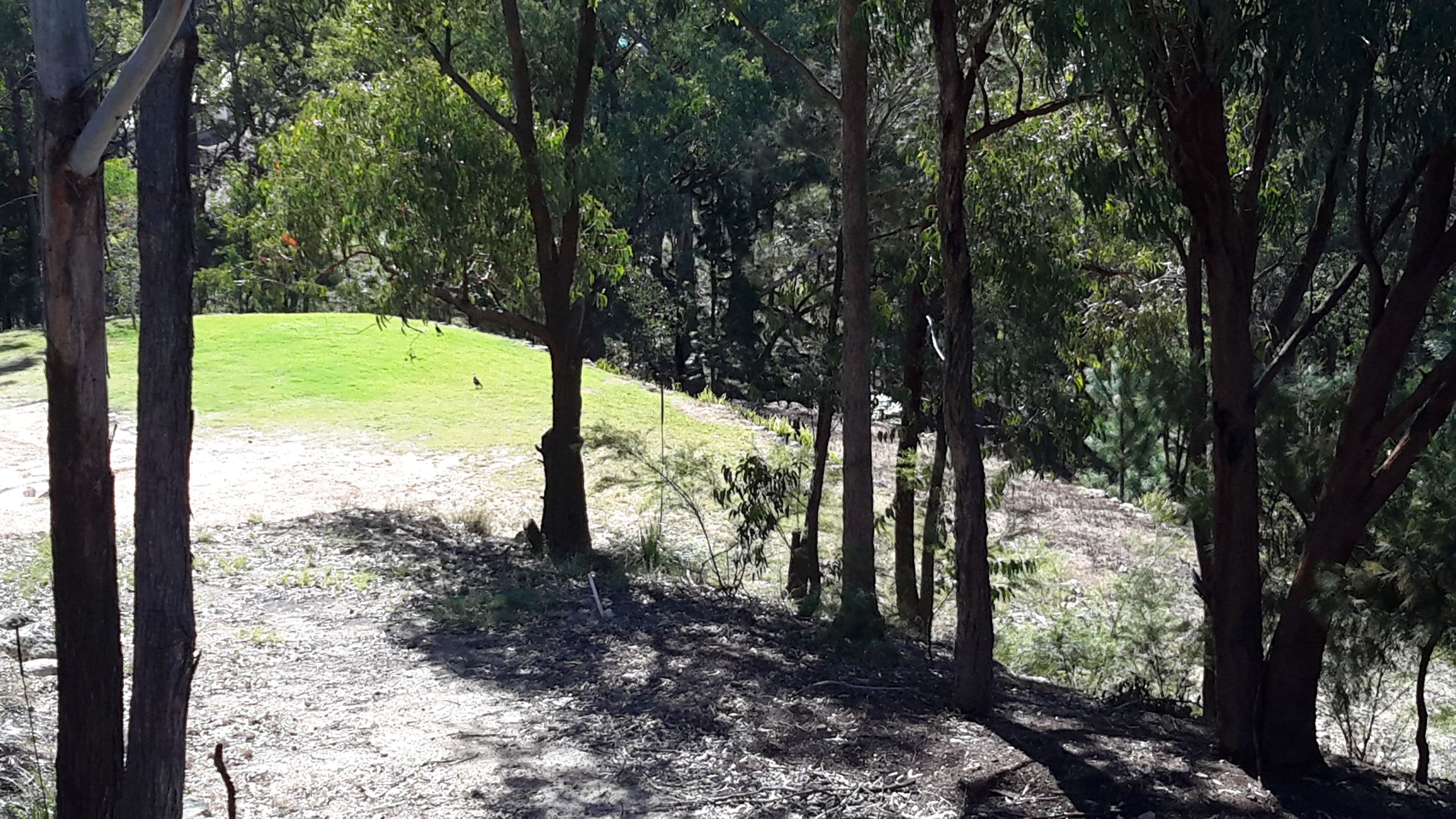 598 German Church Road, Redland Bay QLD 4165, Redland Bay - Thumbnail 4