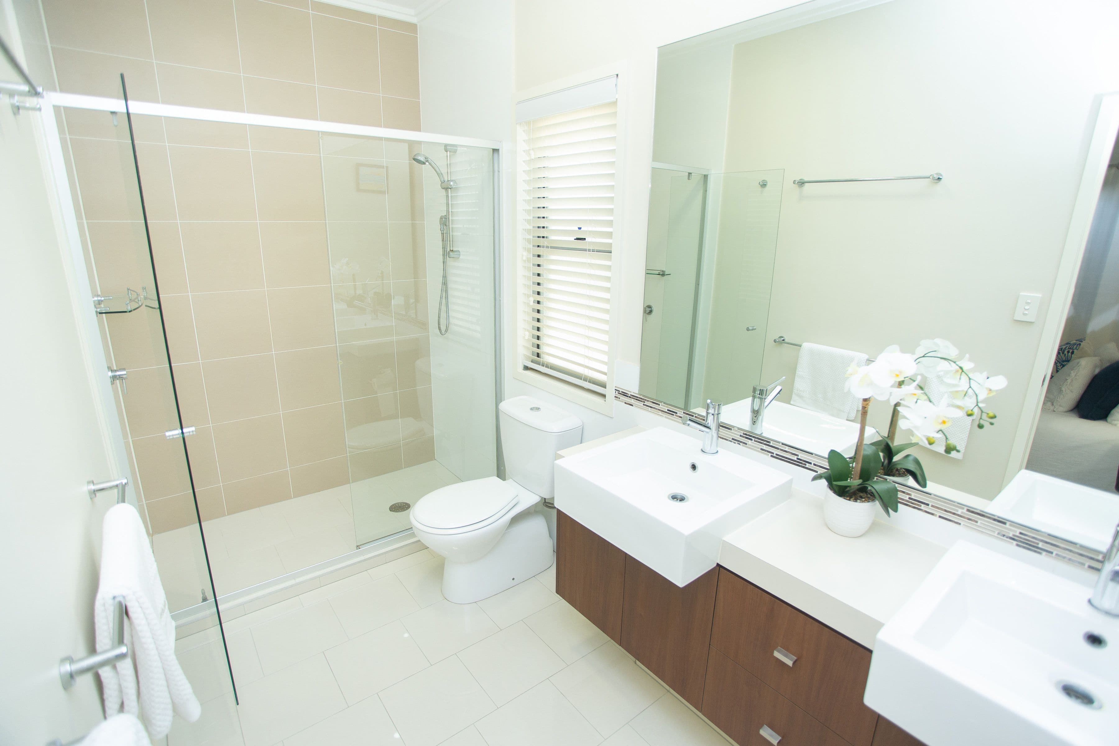 12 Birdwood Road, Holland Park QLD 4121, Holland Park West - Thumbnail 8
