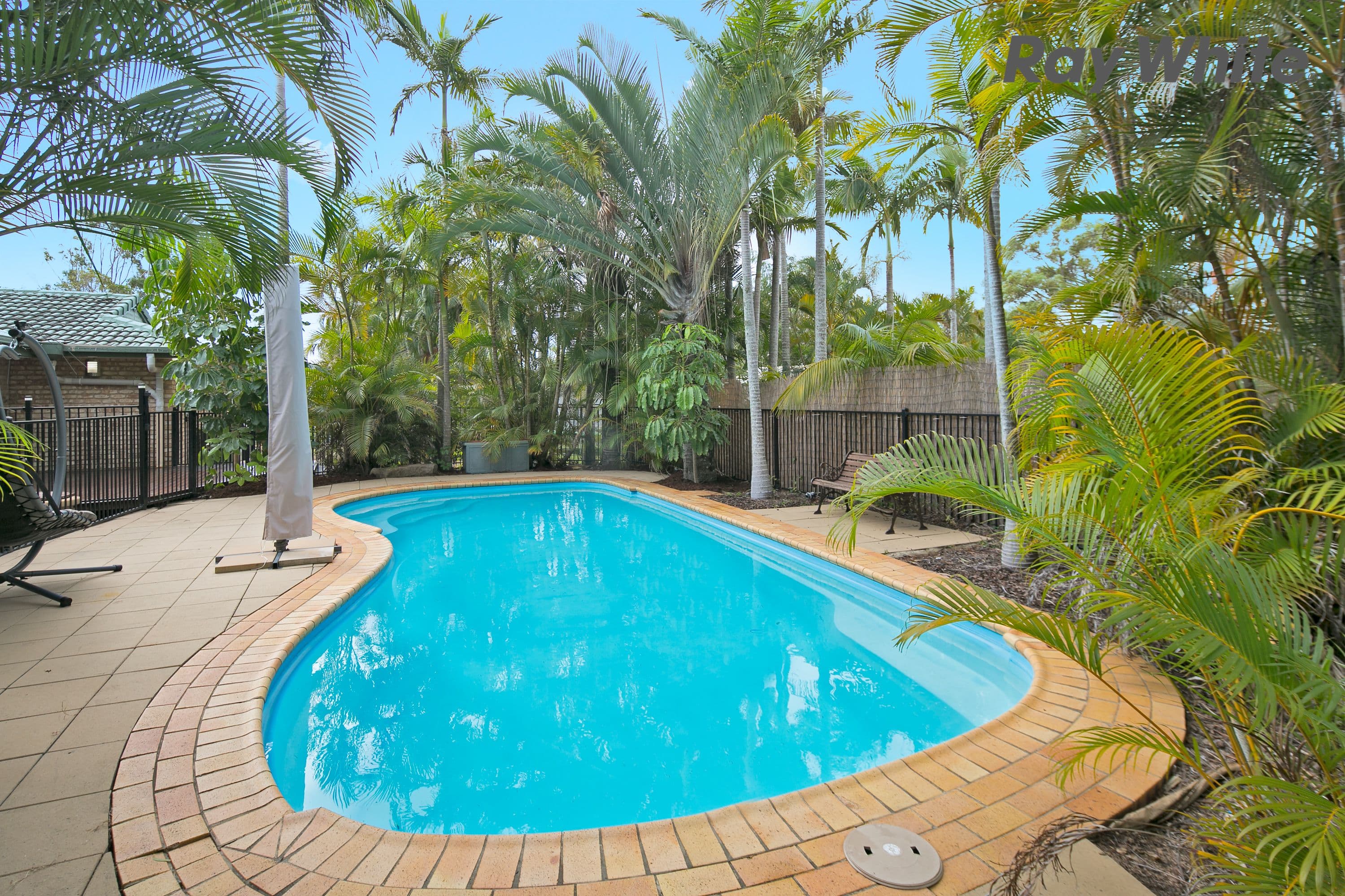 10 Swallow Street, Thornlands QLD 4164, Thornlands - Thumbnail 4
