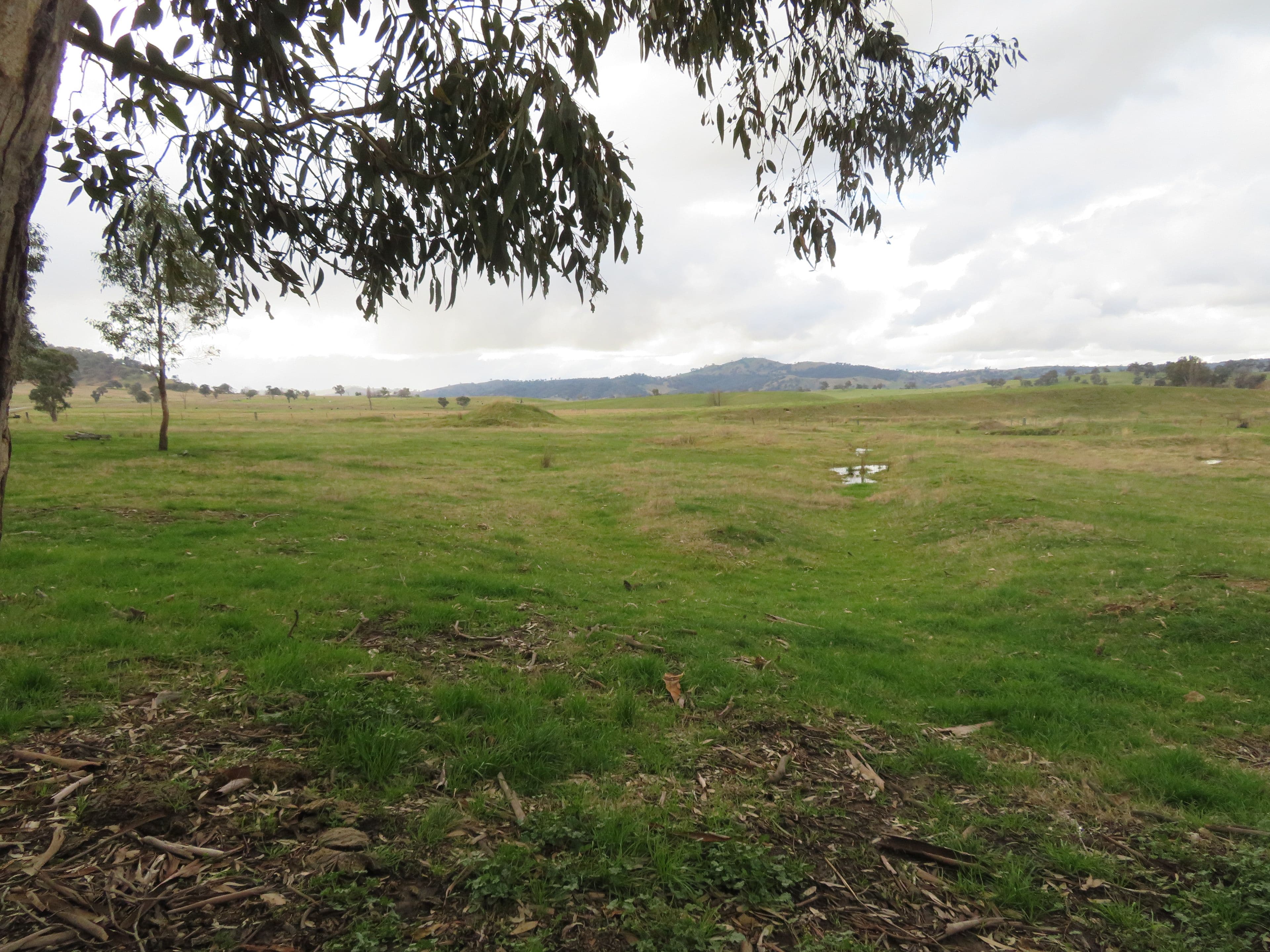 120 Grahamstown Road, Grahamstown NSW 2729, Grahamstown - Thumbnail 2