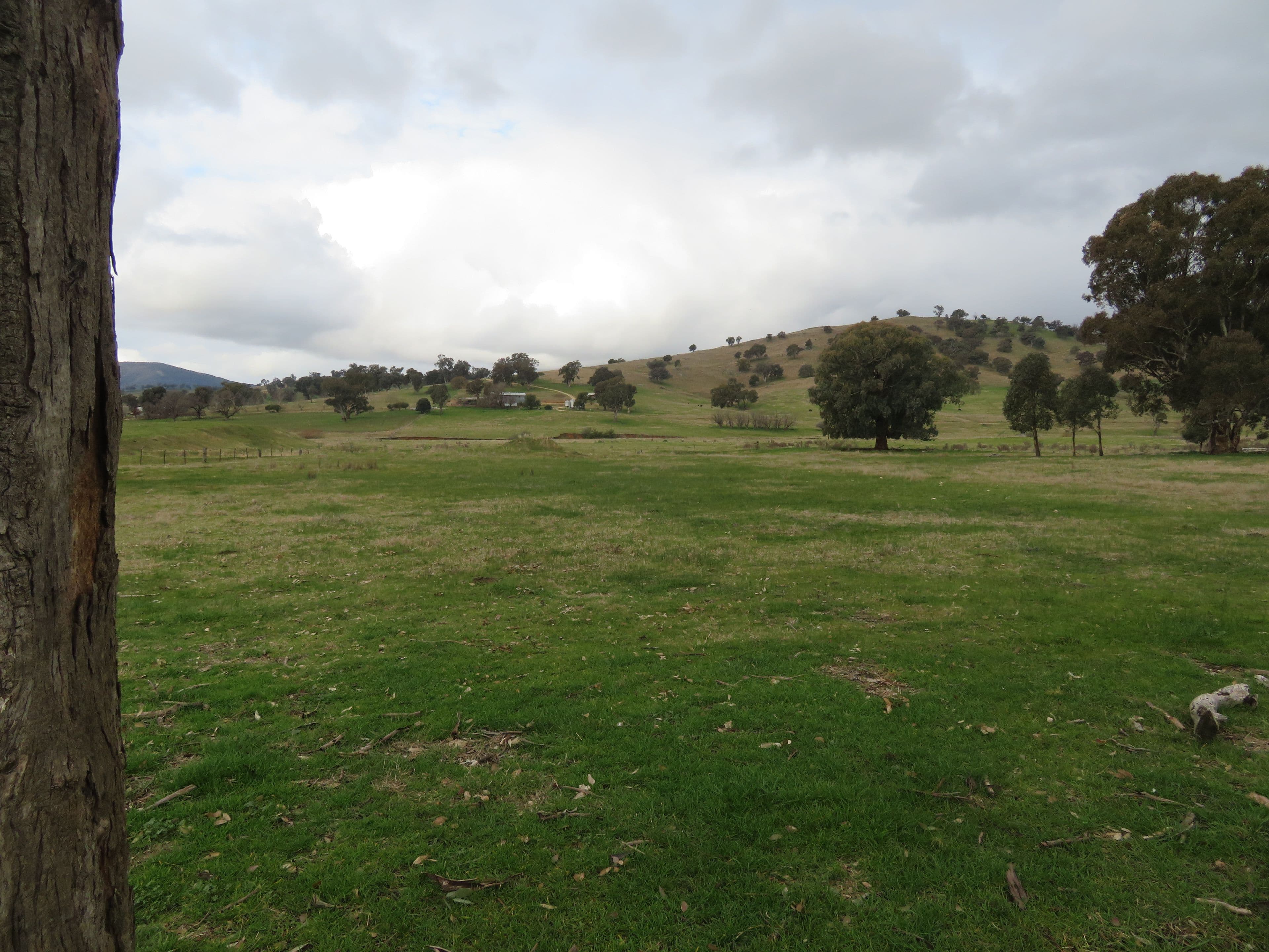 120 Grahamstown Road, Grahamstown NSW 2729, Grahamstown - Thumbnail 3