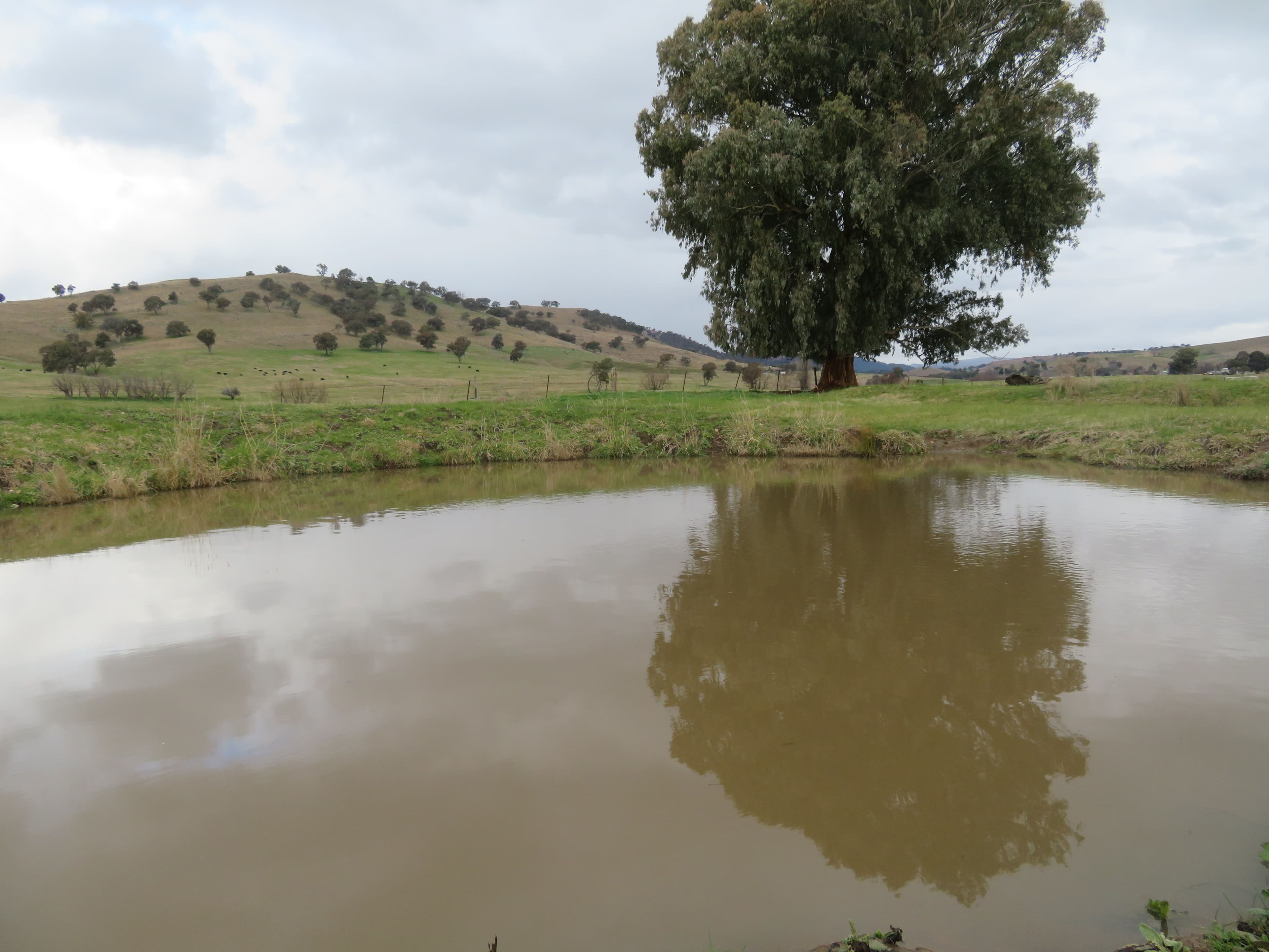 120 Grahamstown Road, Grahamstown NSW 2729, Grahamstown - Thumbnail 4