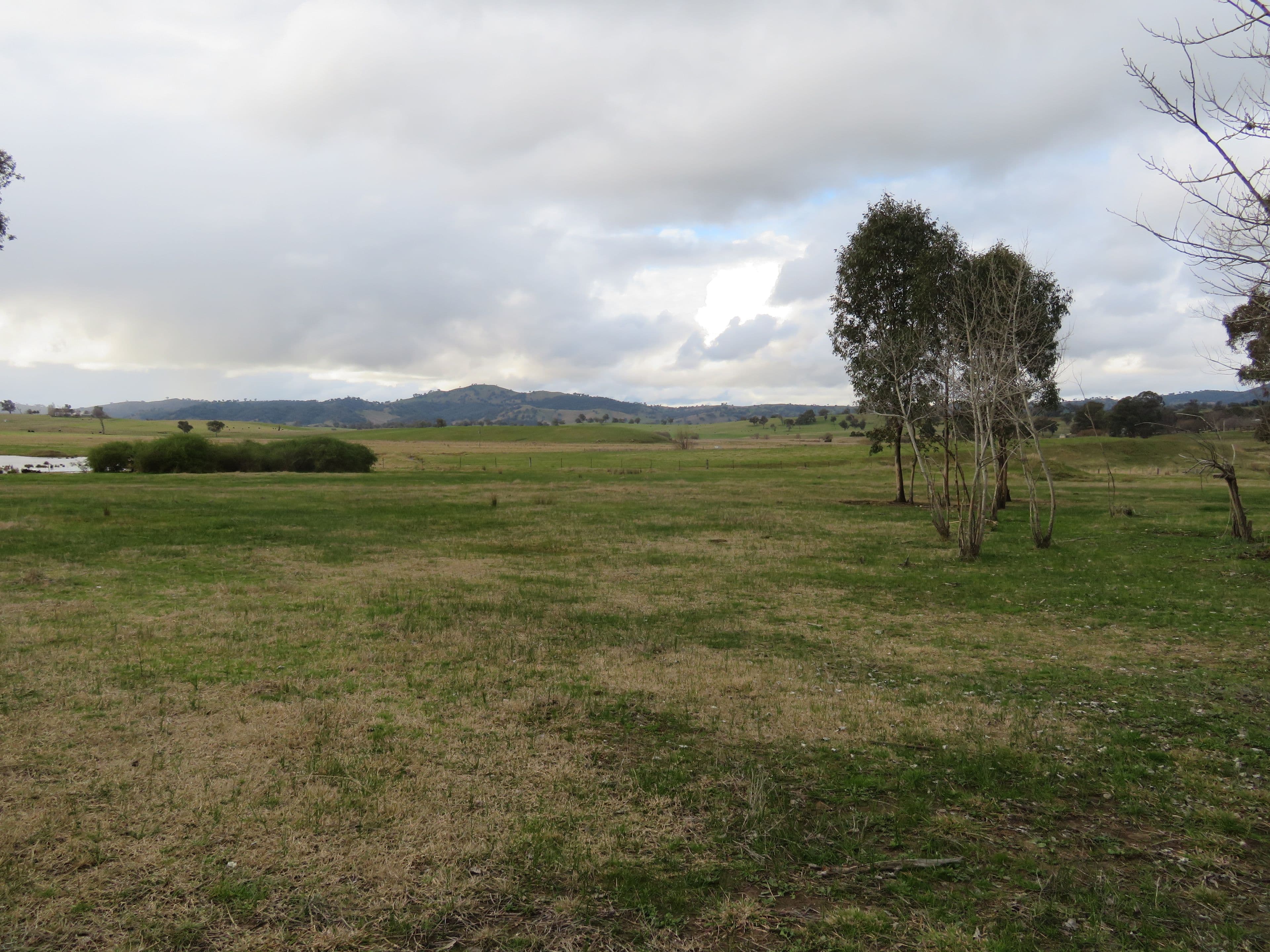 120 Grahamstown Road, Grahamstown NSW 2729, Grahamstown - Thumbnail 6