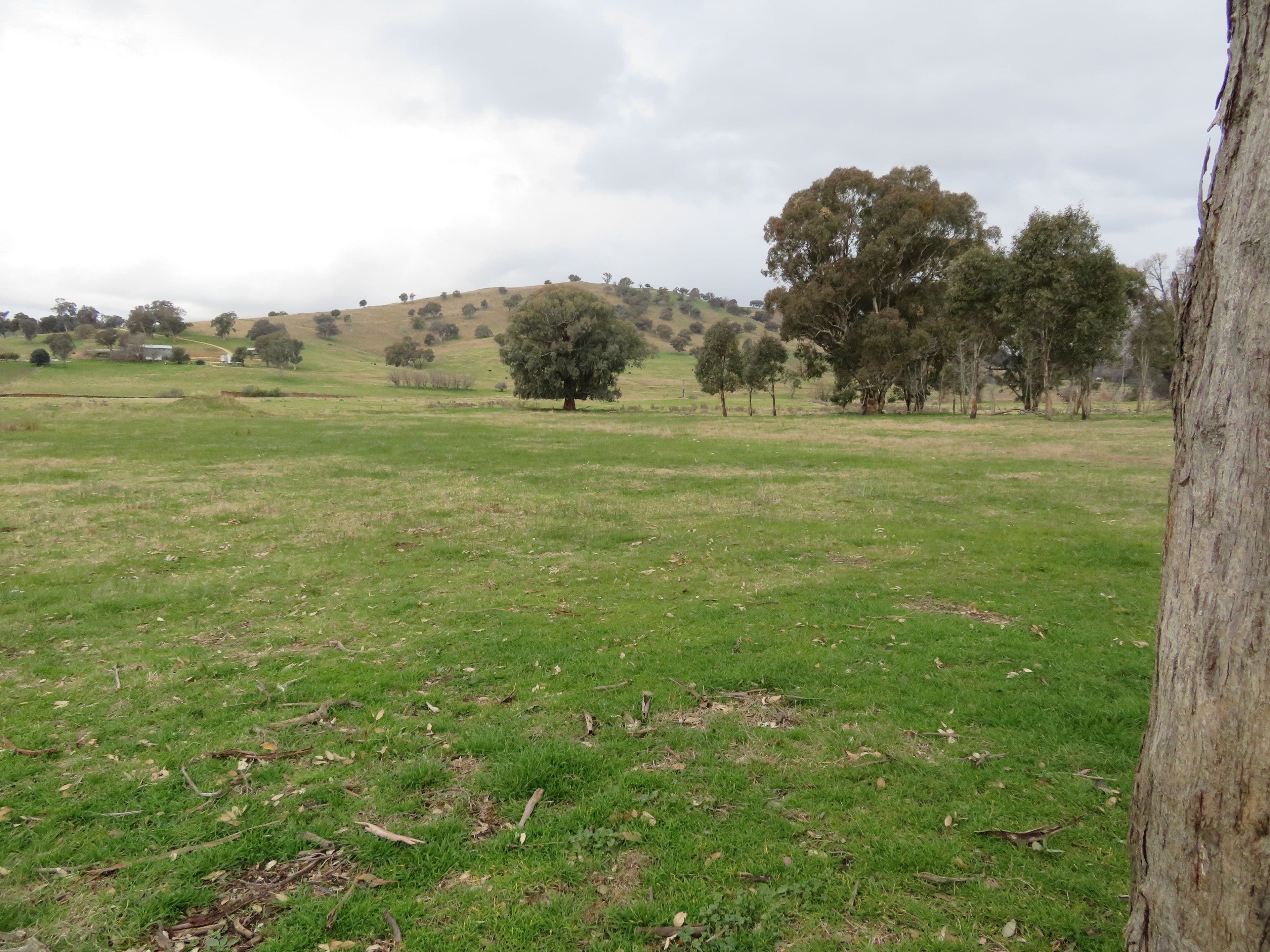 120 Grahamstown Road, Grahamstown NSW 2729, Grahamstown - Thumbnail 7