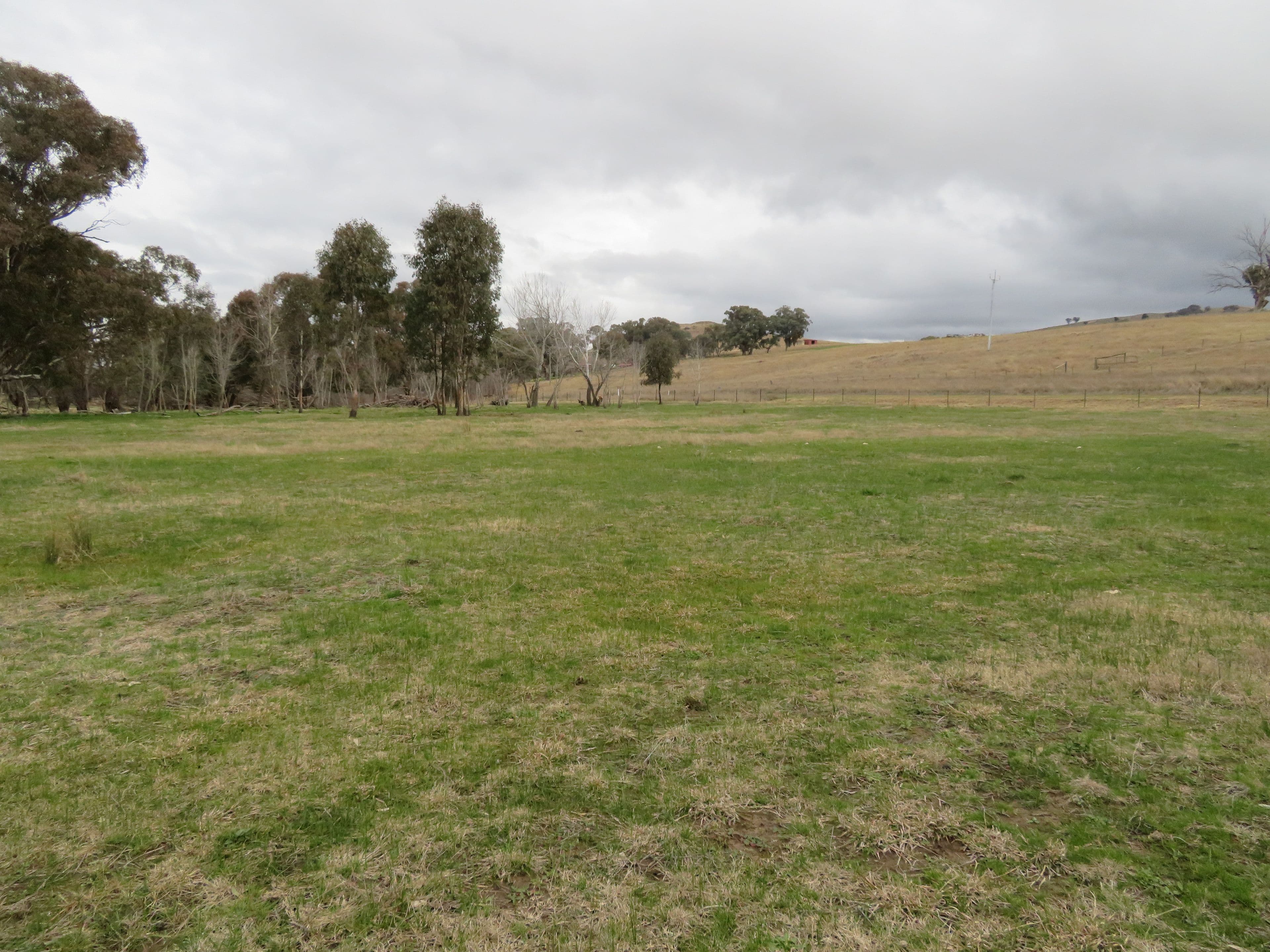 120 Grahamstown Road, Grahamstown NSW 2729, Grahamstown - Thumbnail 8