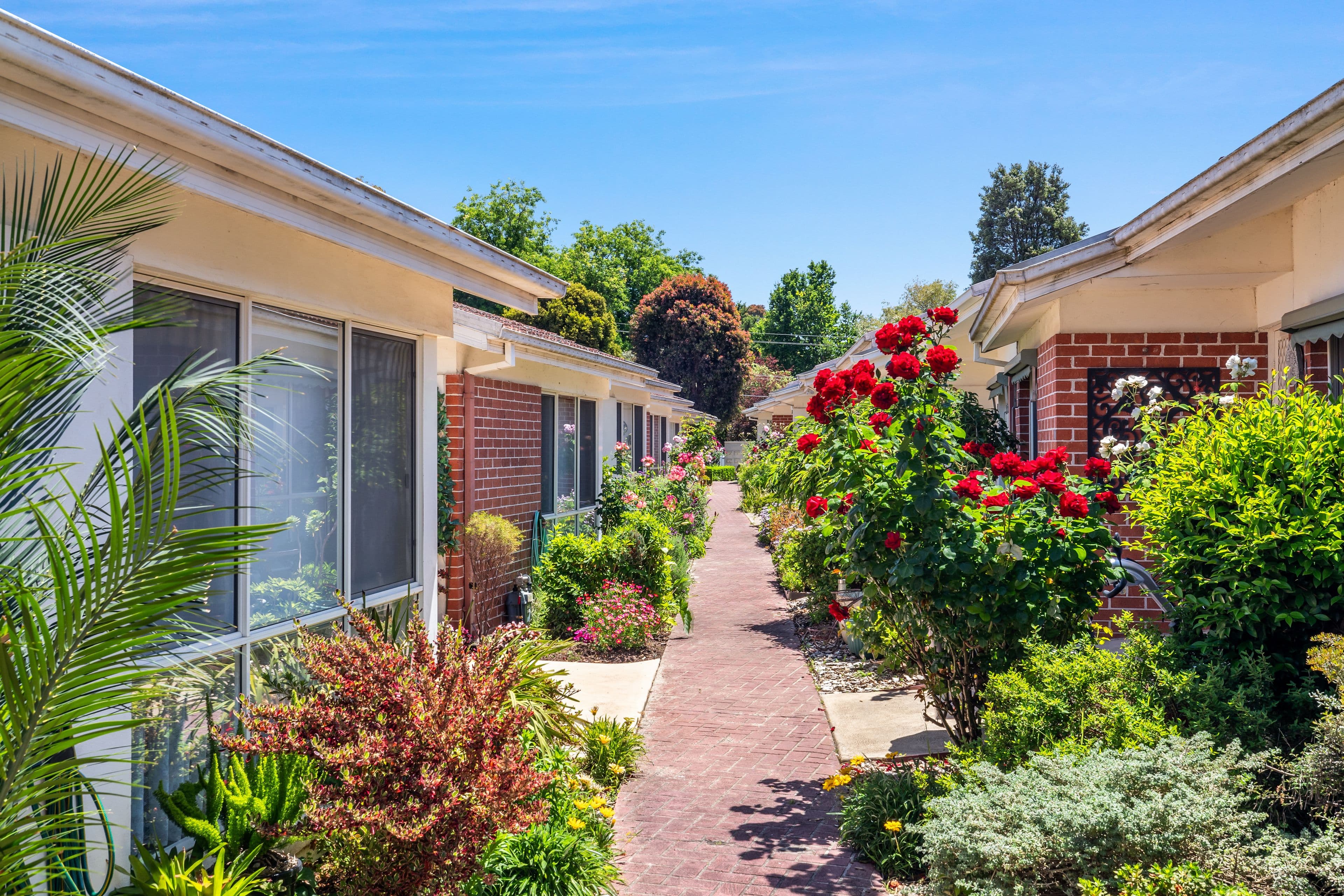 5 Pleasant Street, Kilsyth VIC 3137, Kilsyth - Thumbnail 5