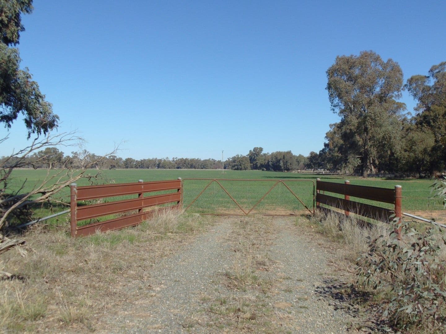 335 Watts Lane, Tichborne - Image 1