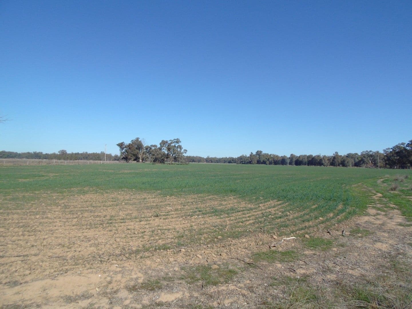 335 Watts Lane, Tichborne - Thumbnail 2