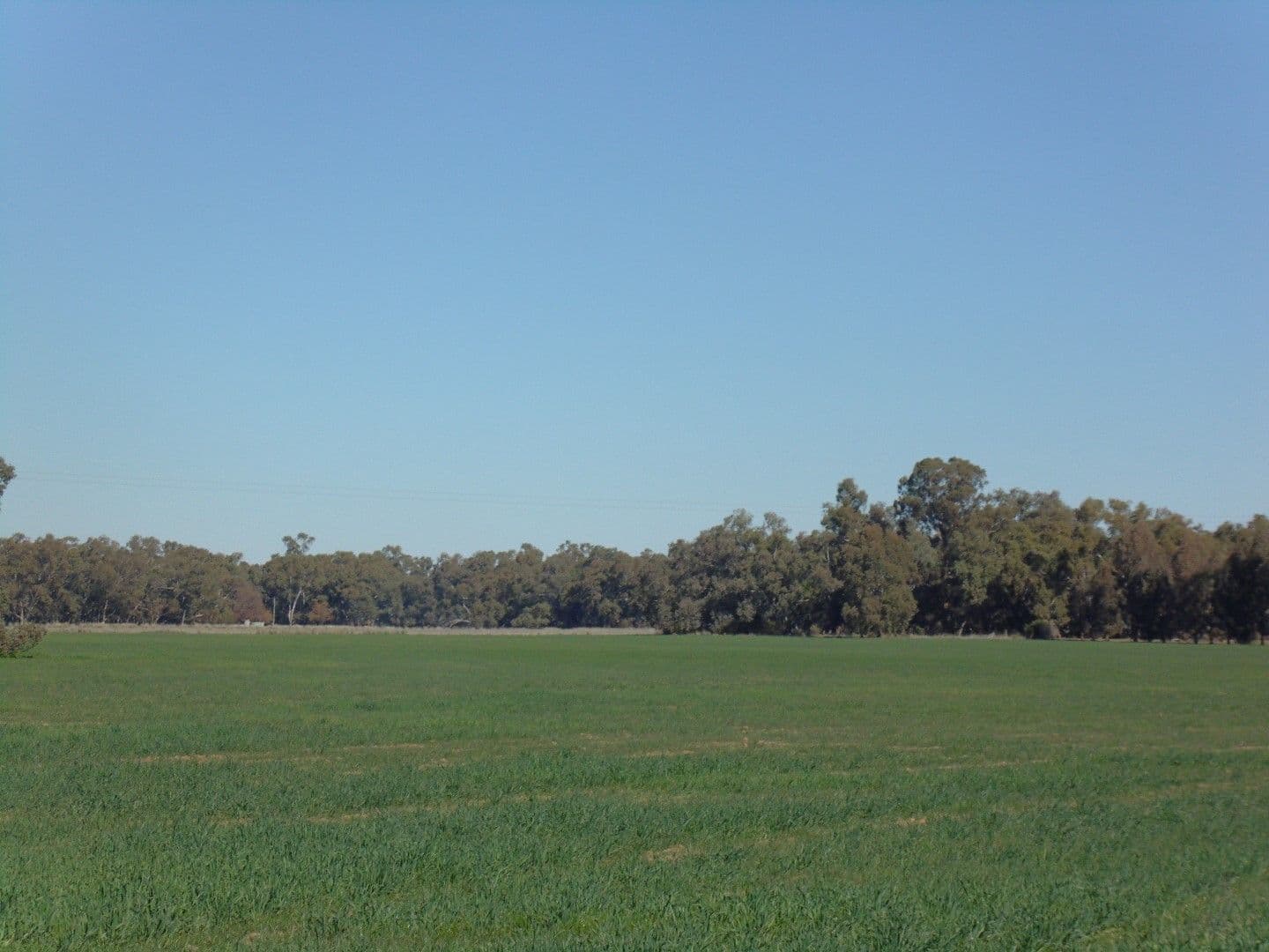 335 Watts Lane, Tichborne - Thumbnail 3