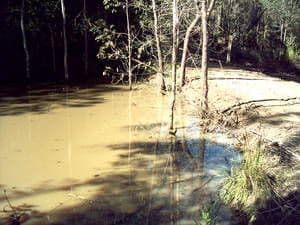 1582 Gaeta Road, GAETA QLD 4671, Gaeta - Thumbnail 2