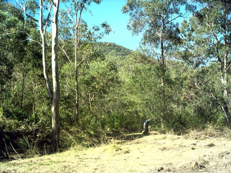 1582 Gaeta Road, GAETA QLD 4671, Gaeta - Thumbnail 4