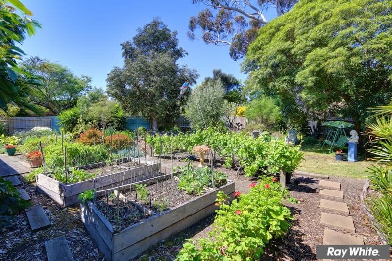 50 Dava Drive, Mornington VIC 3931, Mornington - Thumbnail 4