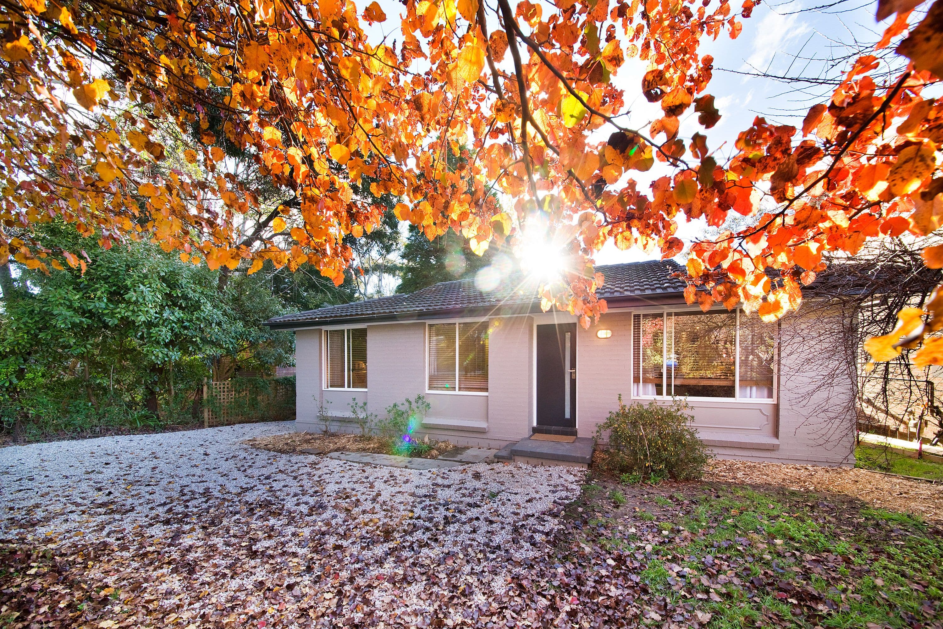 32 Mountbatten Street, Blackheath - Thumbnail 6