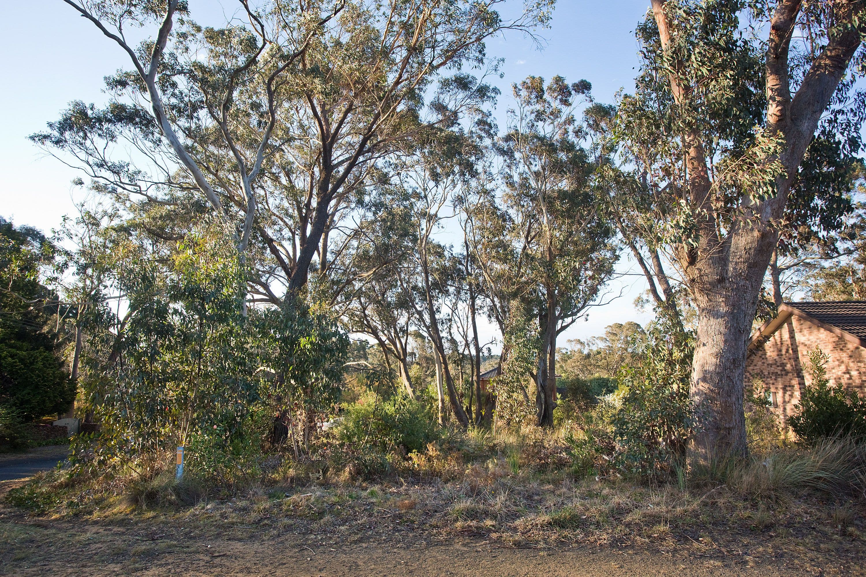116 Evans Lookout Road, Blackheath NSW 2785, Blackheath - Thumbnail 2