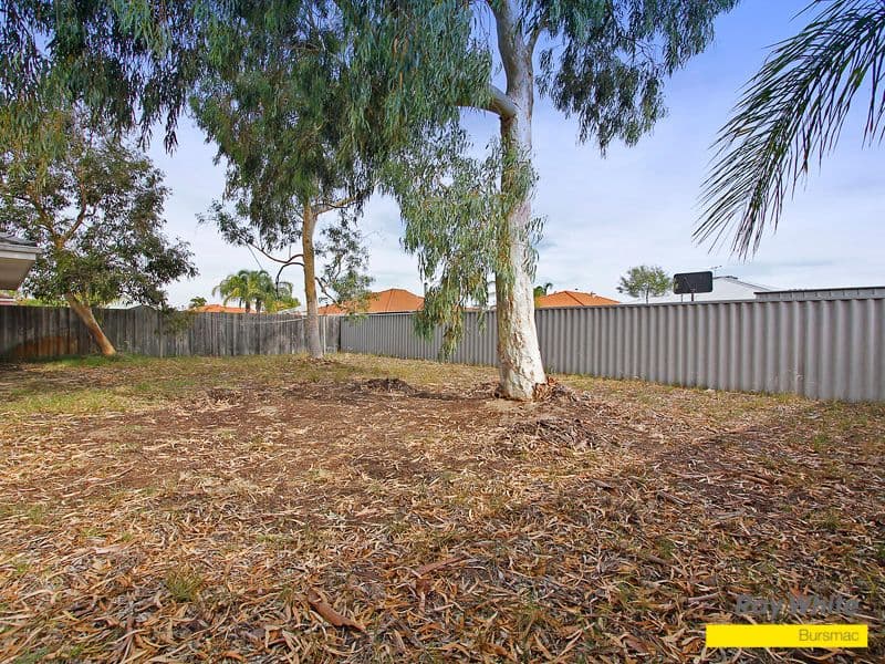 8 Hamelin Drive, BALLAJURA WA 6066, Ballajura - Thumbnail 4