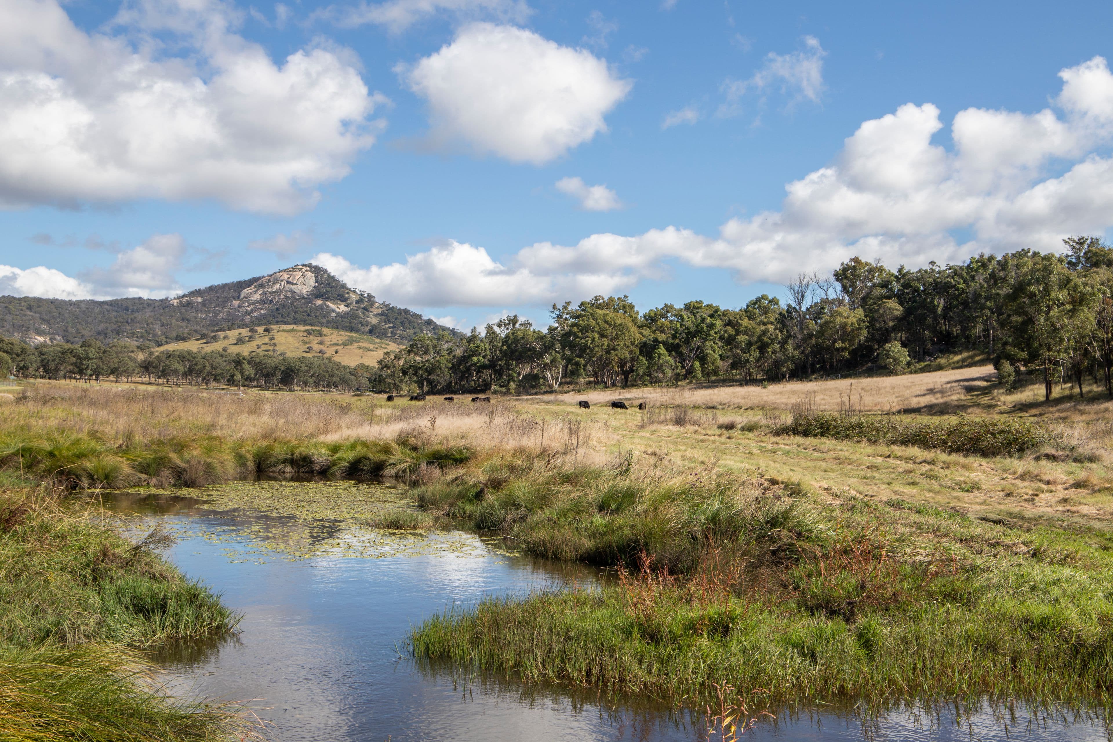 12 Four Mile Creek Road, Tenterfield NSW 2372, Tenterfield - Thumbnail 2