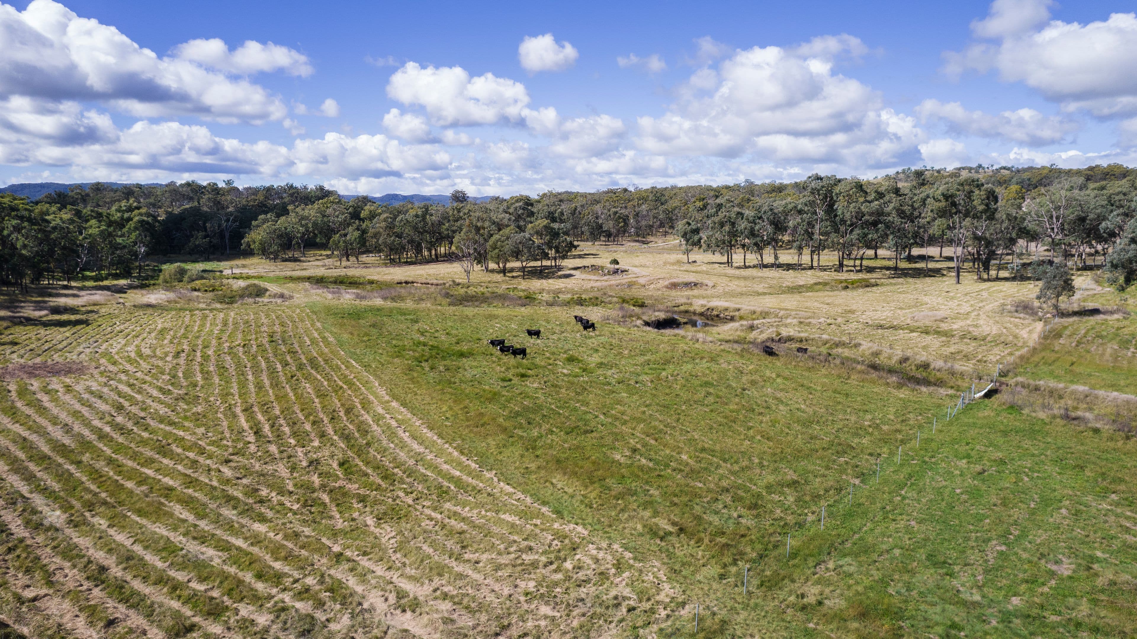 12 Four Mile Creek Road, Tenterfield NSW 2372, Tenterfield - Thumbnail 5