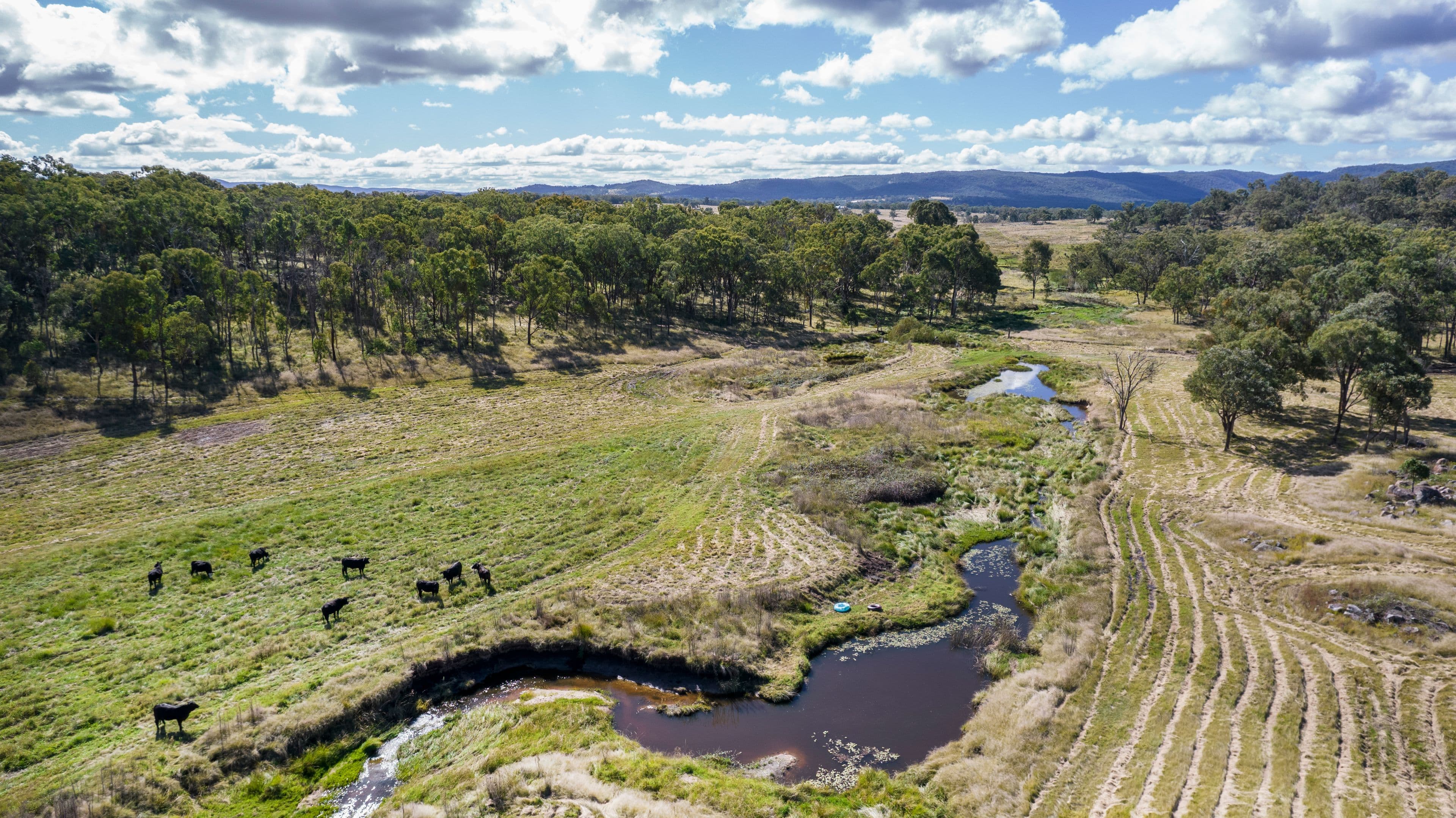 12 Four Mile Creek Road, Tenterfield NSW 2372, Tenterfield - Thumbnail 6
