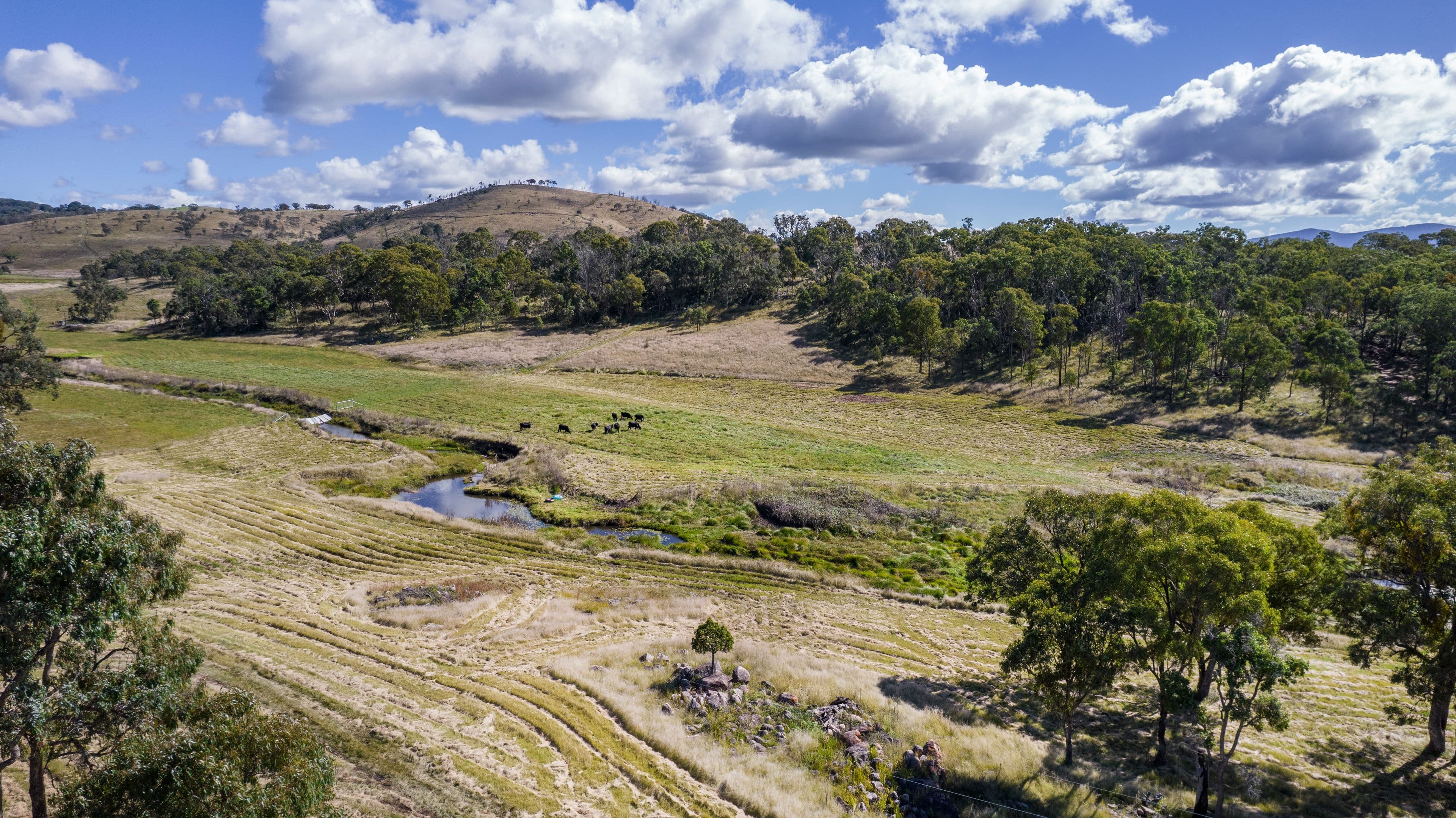 12 Four Mile Creek Road, Tenterfield NSW 2372, Tenterfield - Thumbnail 8