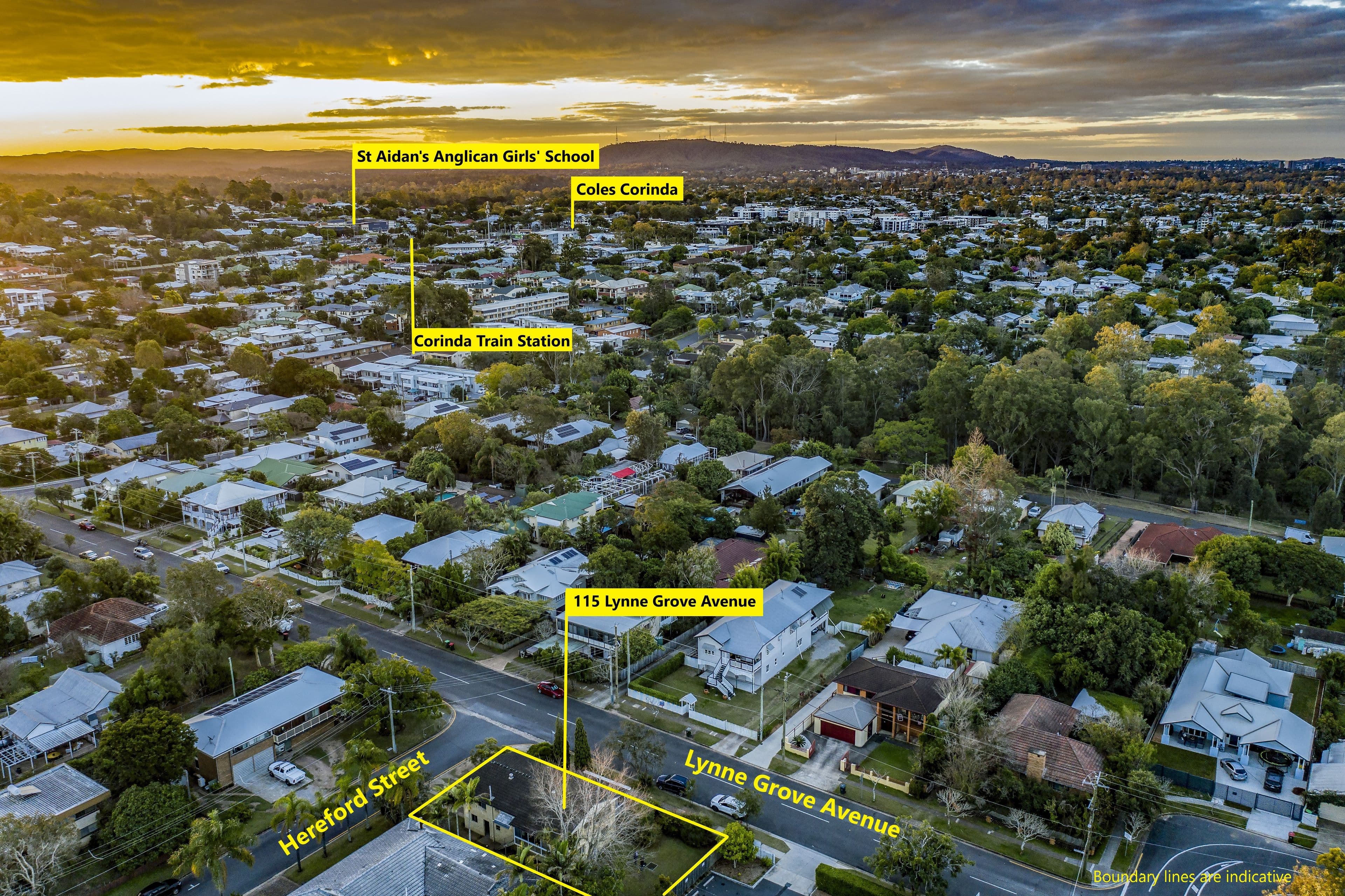 115 Lynne Grove Avenue, Corinda QLD 4075, Corinda - Thumbnail 2