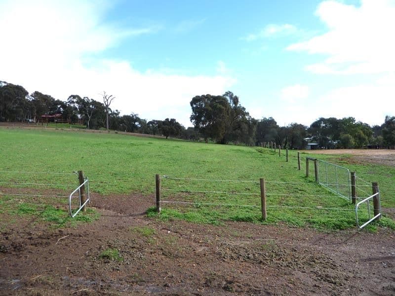 49 Wedgetail Ridge, BULLSBROOK WA 6084, Bullsbrook - Thumbnail 8