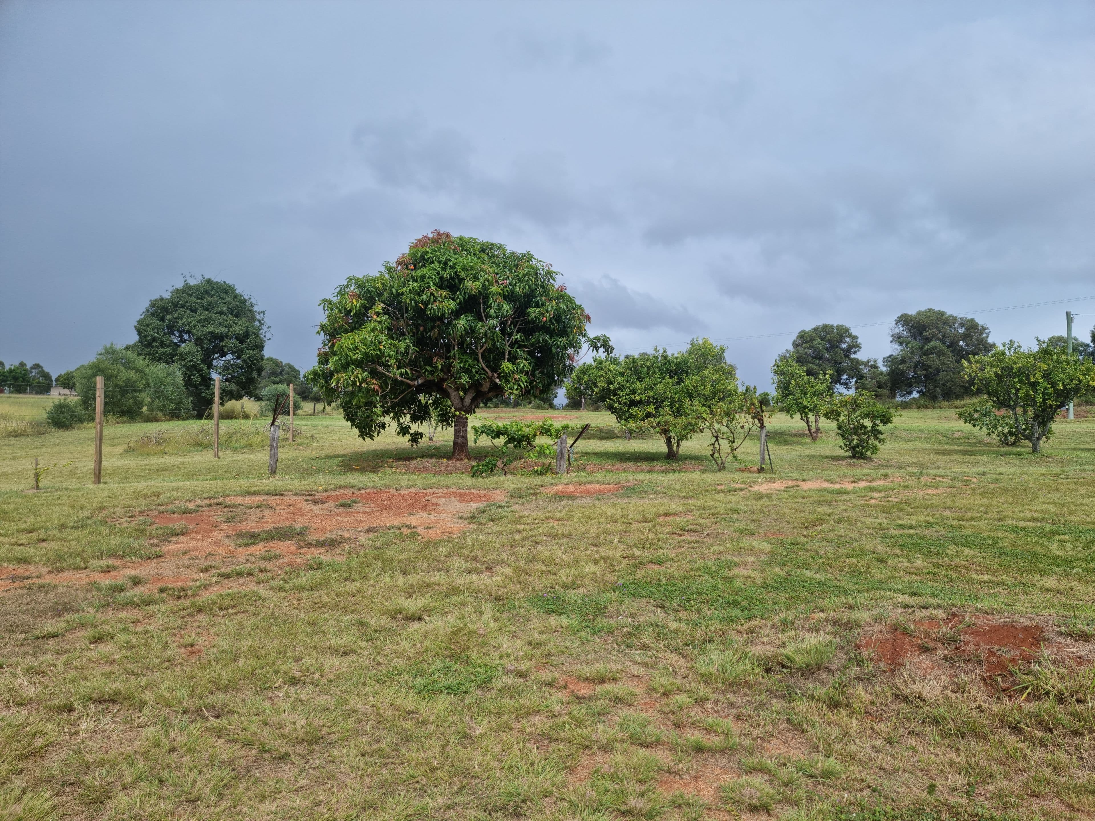 3 Back Road, Kinleymore QLD 4613, Kinleymore - Thumbnail 3