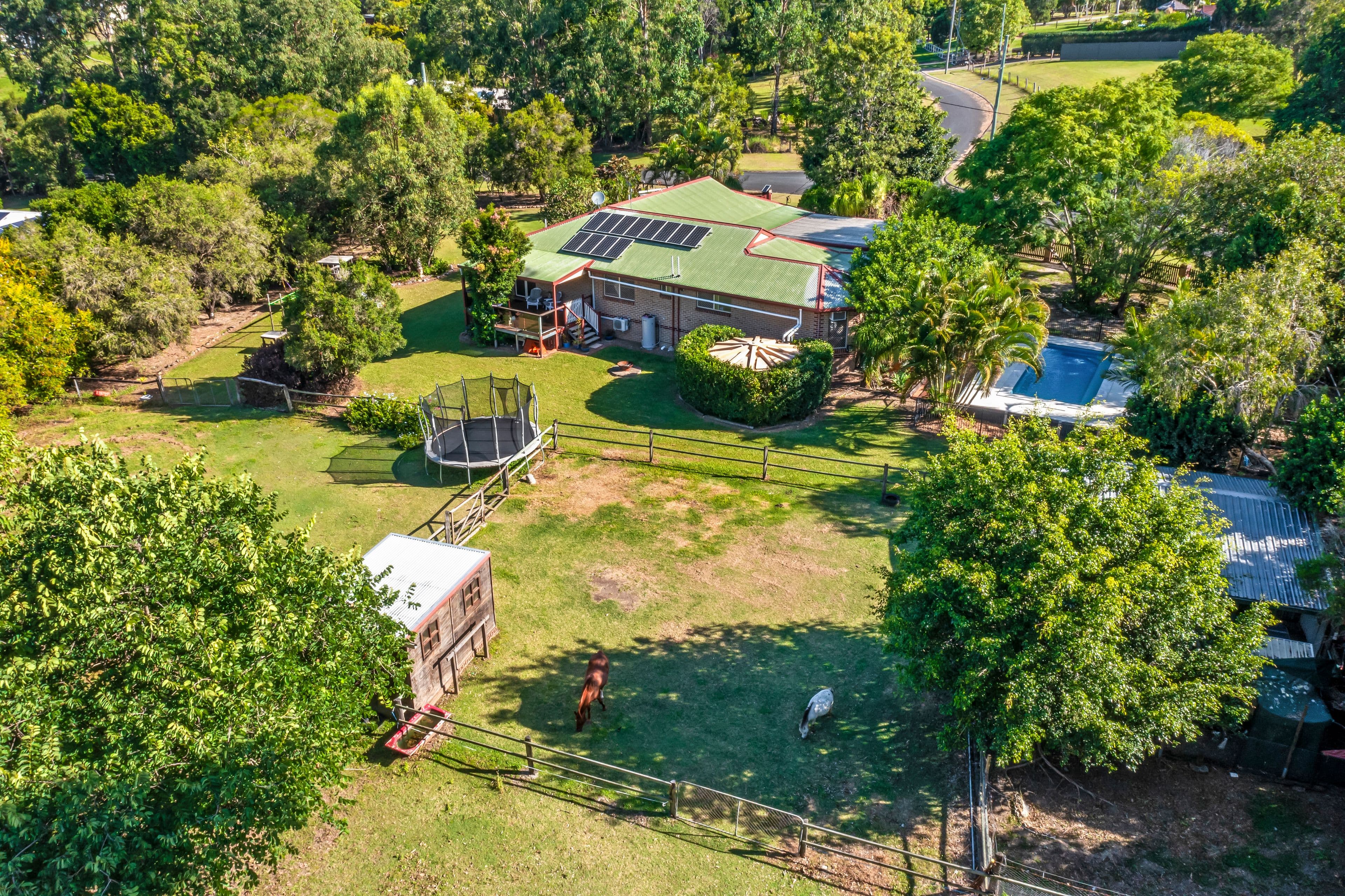 268 Williamson Road, Morayfield QLD 4506, Morayfield - Thumbnail 2