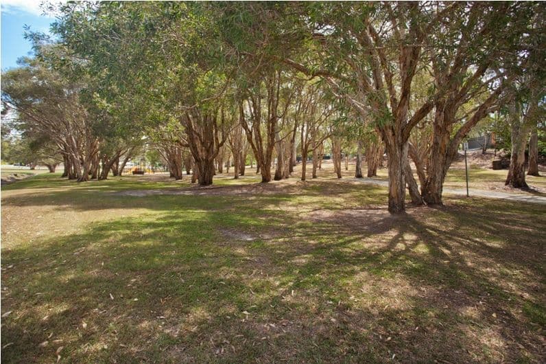 30 Nyora Street, SOUTHPORT QLD 4215, Southport - Thumbnail 8
