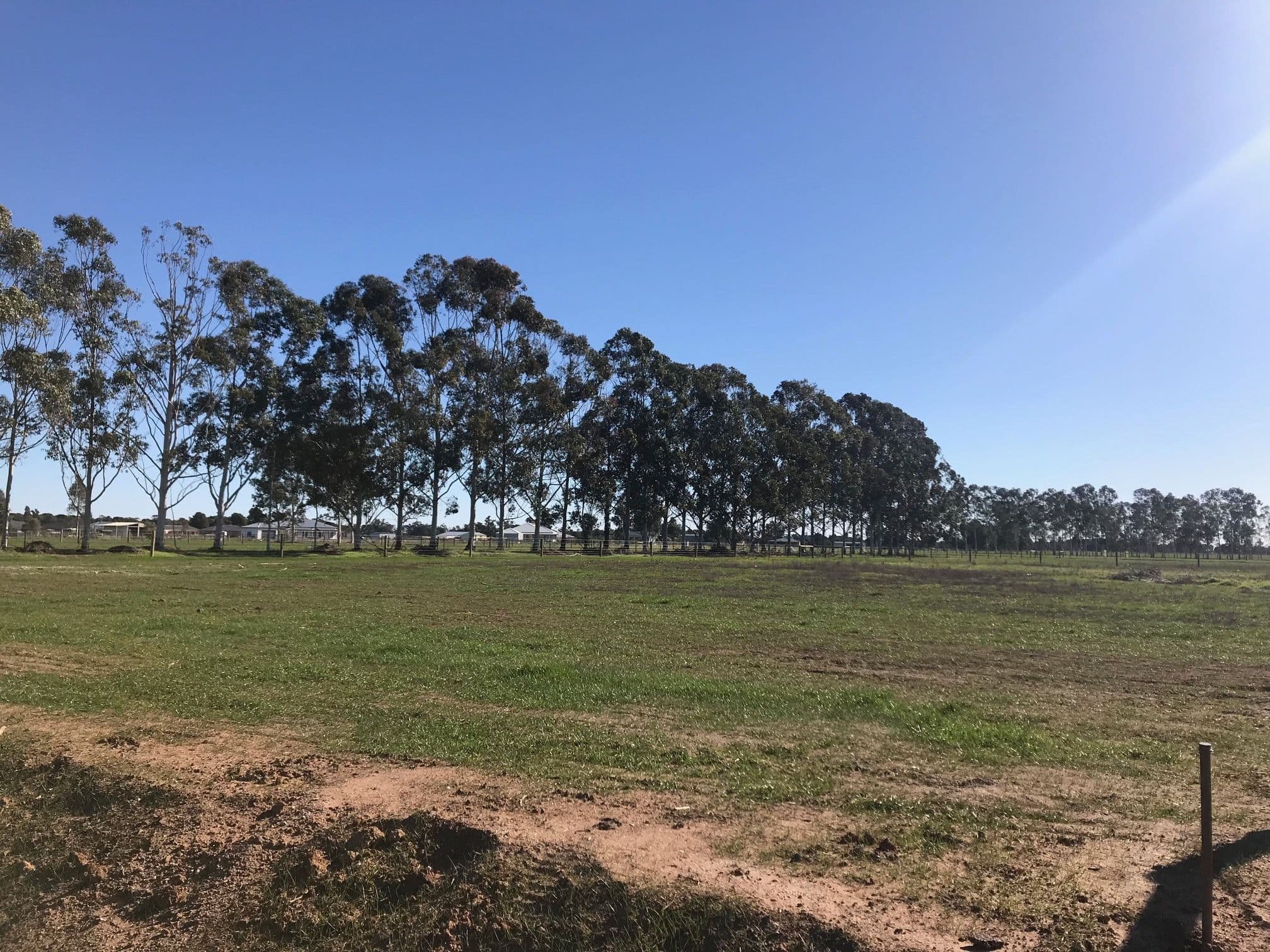 Lot 68 Cypress Way, Mulwala NSW 2647, Mulwala - Thumbnail 4