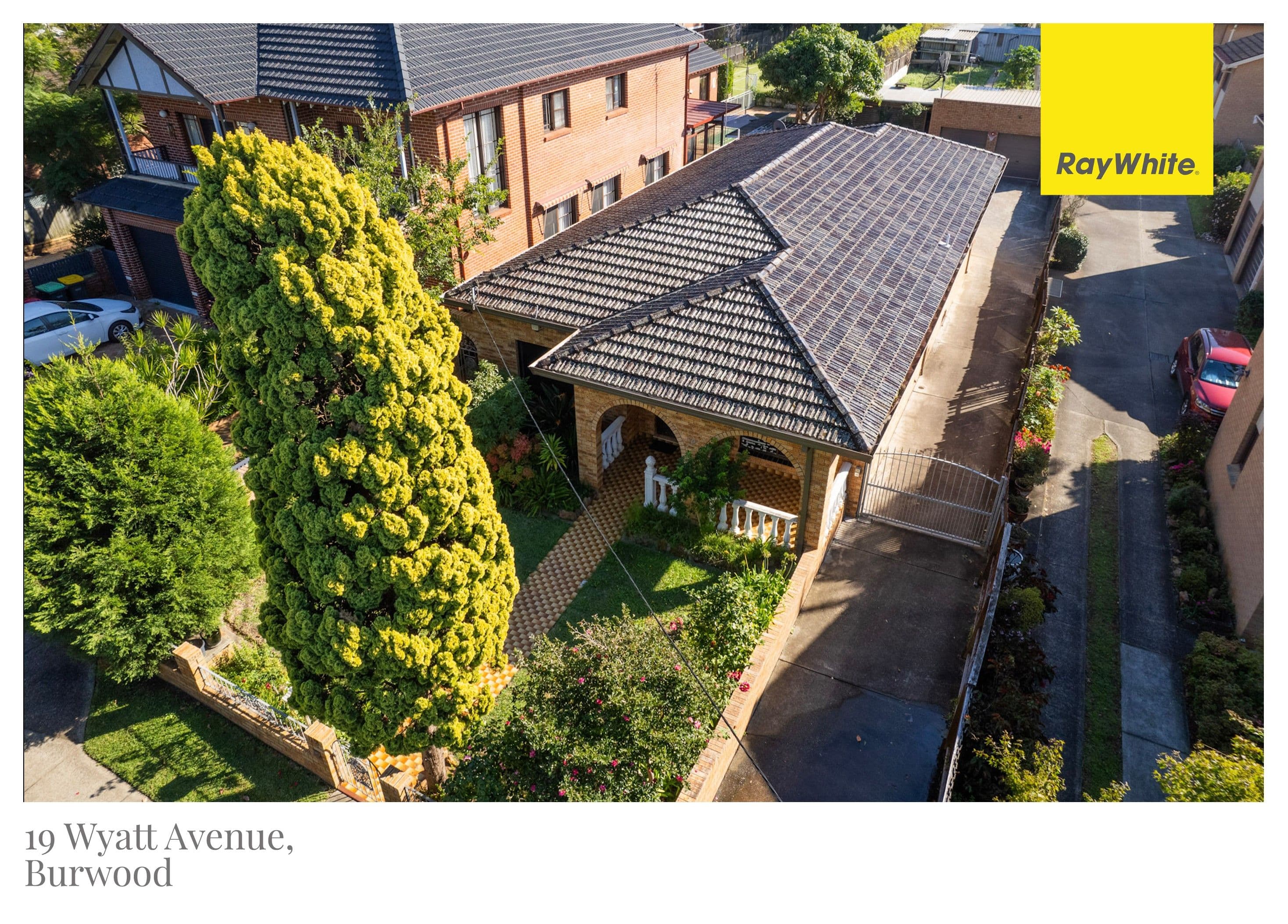 19 Wyatt Avenue, Burwood NSW 2134, Burwood - Thumbnail 2