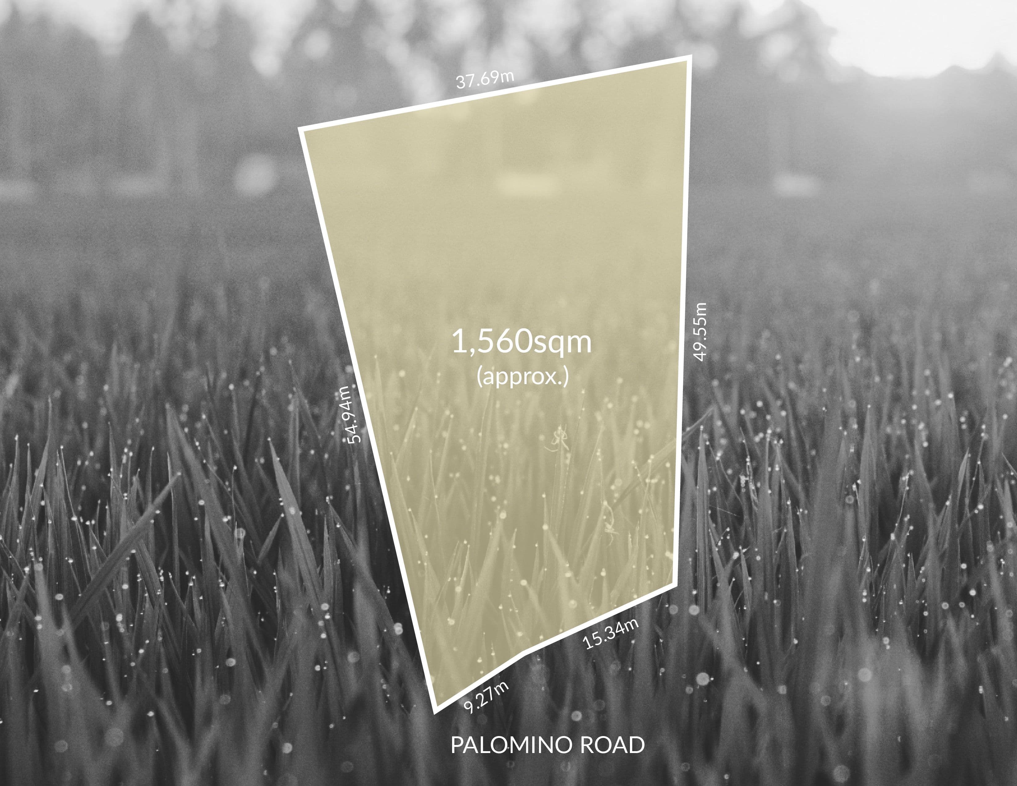 8 Palomino Road, Auldana SA 5072, Auldana - Thumbnail 3