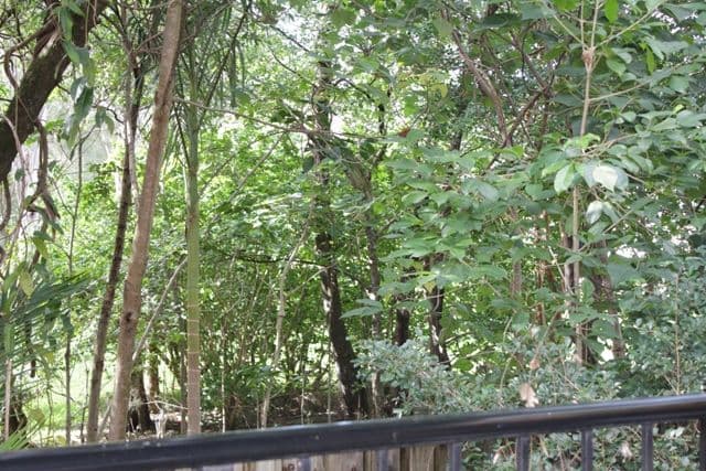 458 - 3 Hilton Terrace, Tewantin QLD 4565, Tewantin - Thumbnail 8