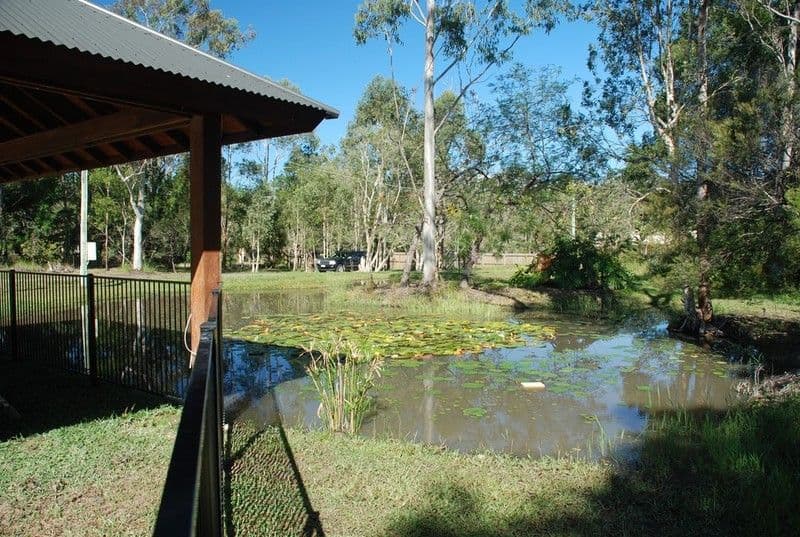 6 Whipbird Place, DOONAN QLD 4562, Doonan - Thumbnail 2