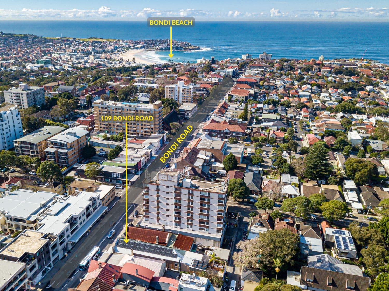 109 Bondi Road, Bondi NSW 2026, Bondi - Image 1