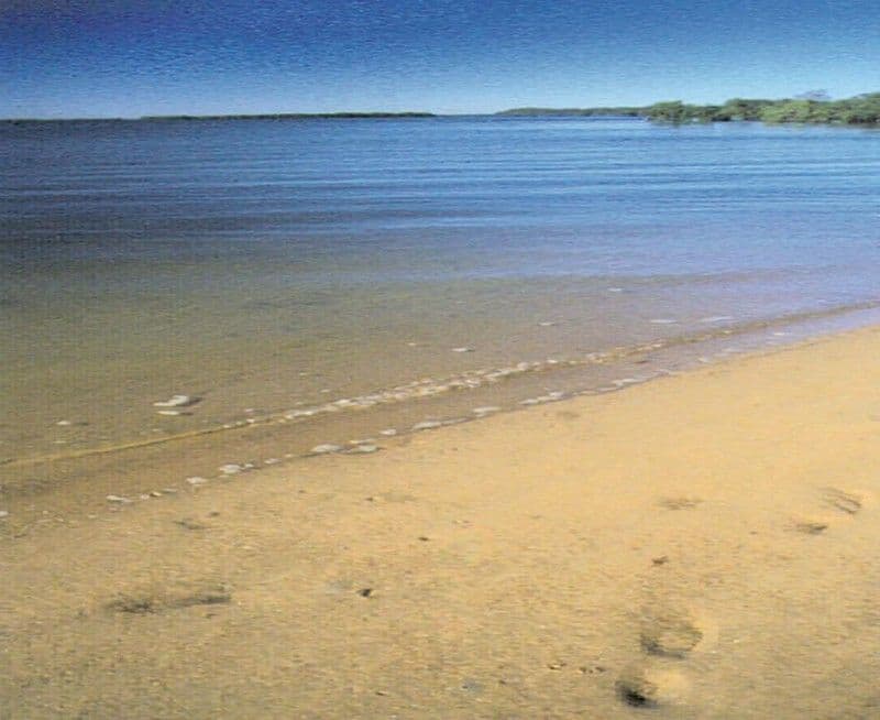50 Azure Avenue, Redland Bay QLD 4165, Redland Bay - Thumbnail 2
