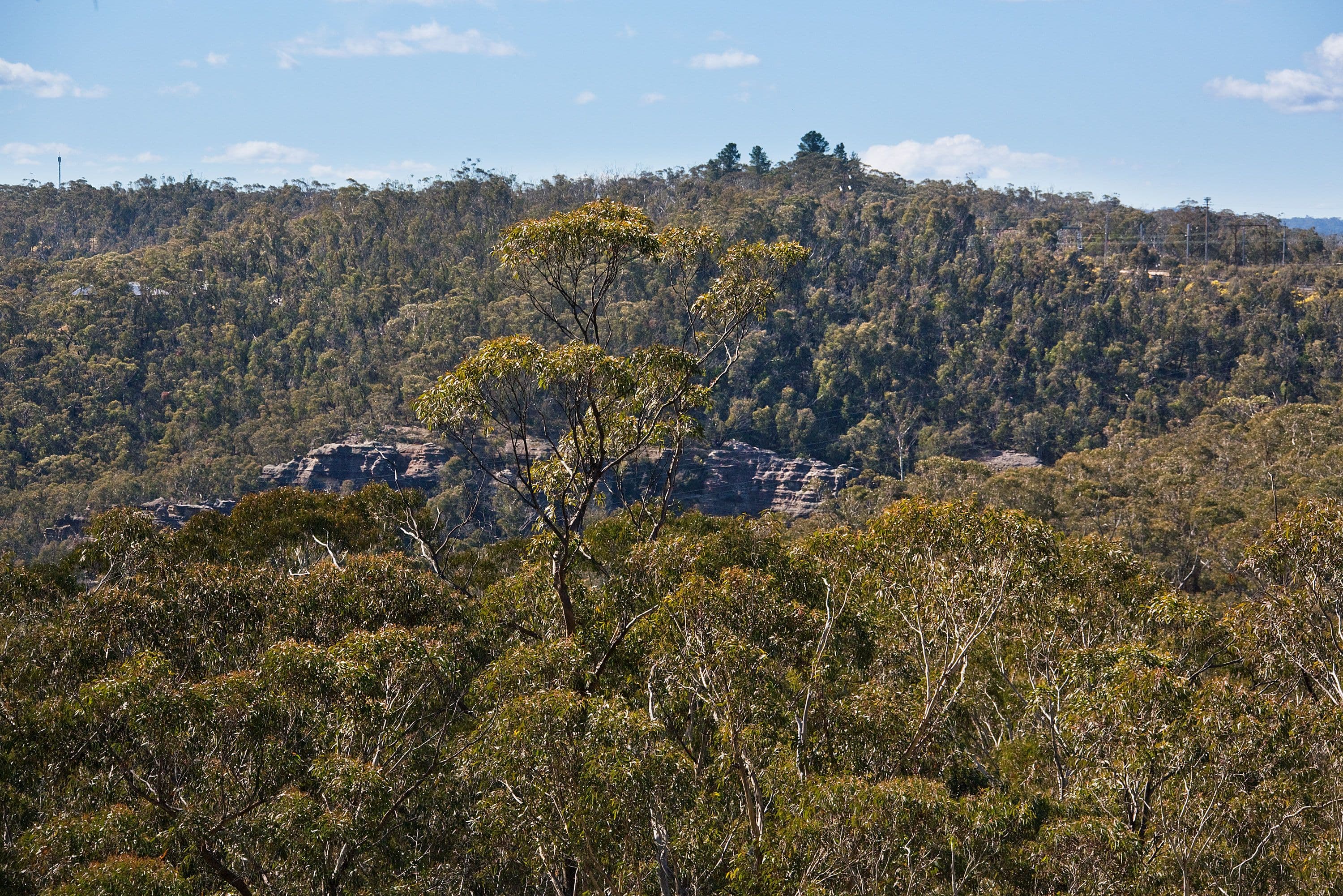 20 Fairy Dell Road, Mount Victoria - Thumbnail 8