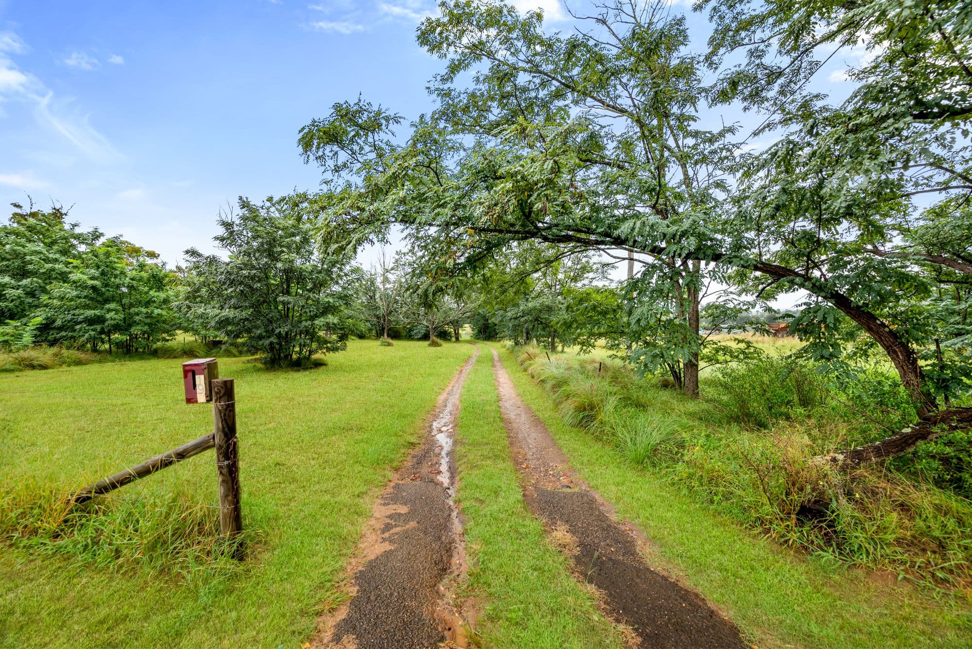 196 Macarthur Road, Spring Farm NSW 2570, Spring Farm - Thumbnail 2