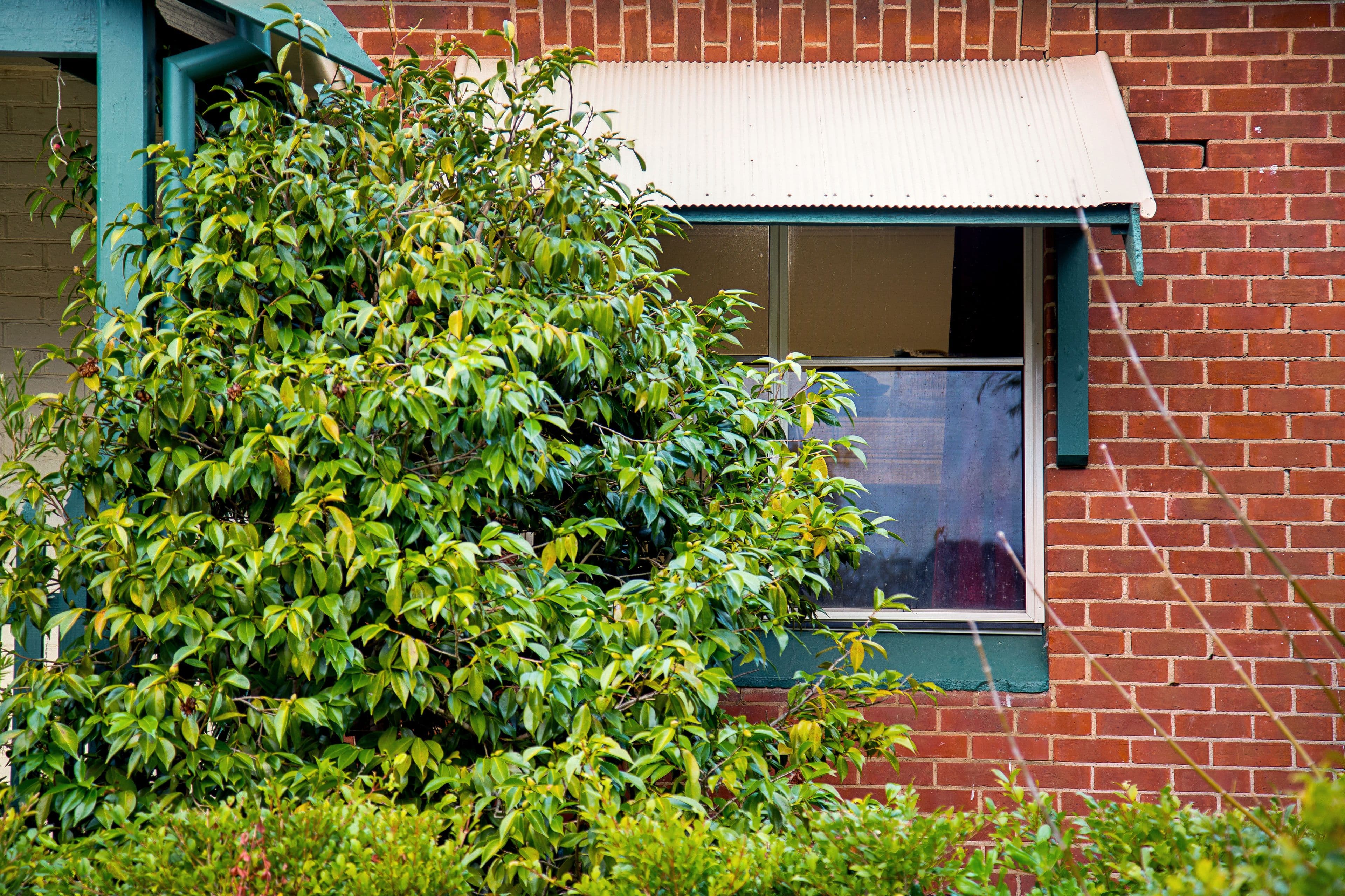 7 Jeffrey Street, Lobethal SA 5241, Lobethal - Thumbnail 7