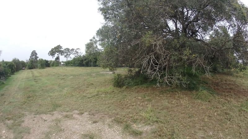 8 Blue Water Road, Booral QLD 4655, Booral - Thumbnail 2