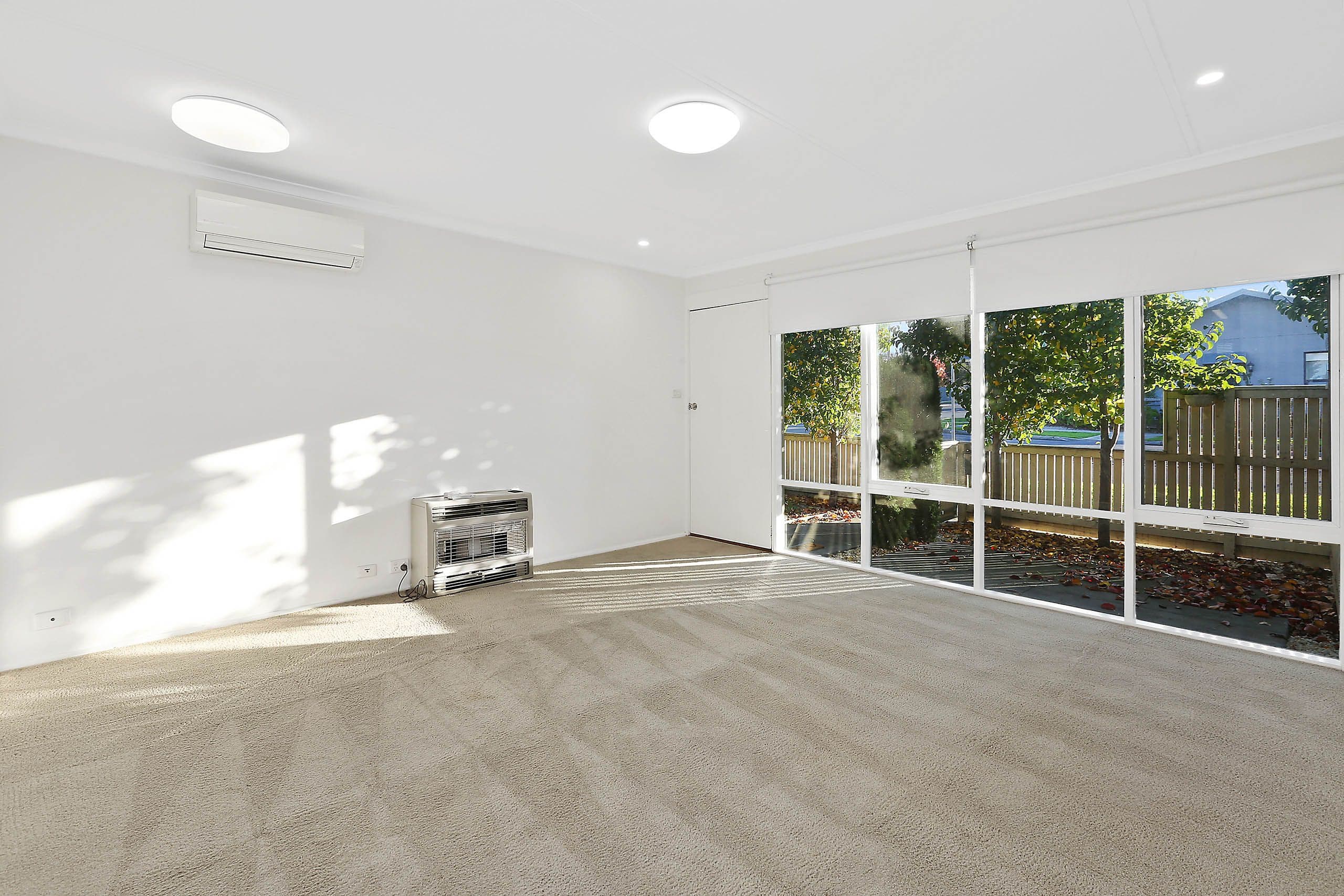 45 Francis Street, Belmont VIC 3216, Belmont - Thumbnail 2