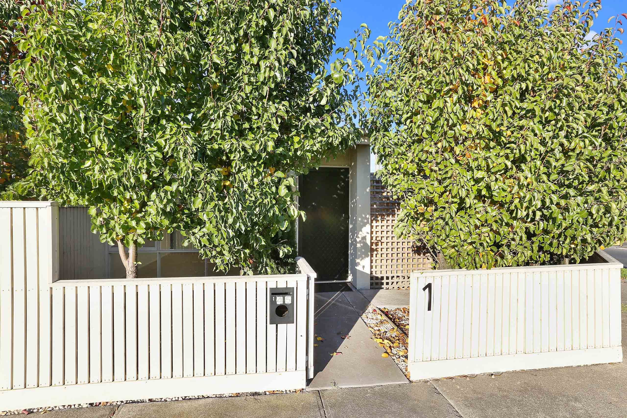 45 Francis Street, Belmont VIC 3216, Belmont - Thumbnail 6