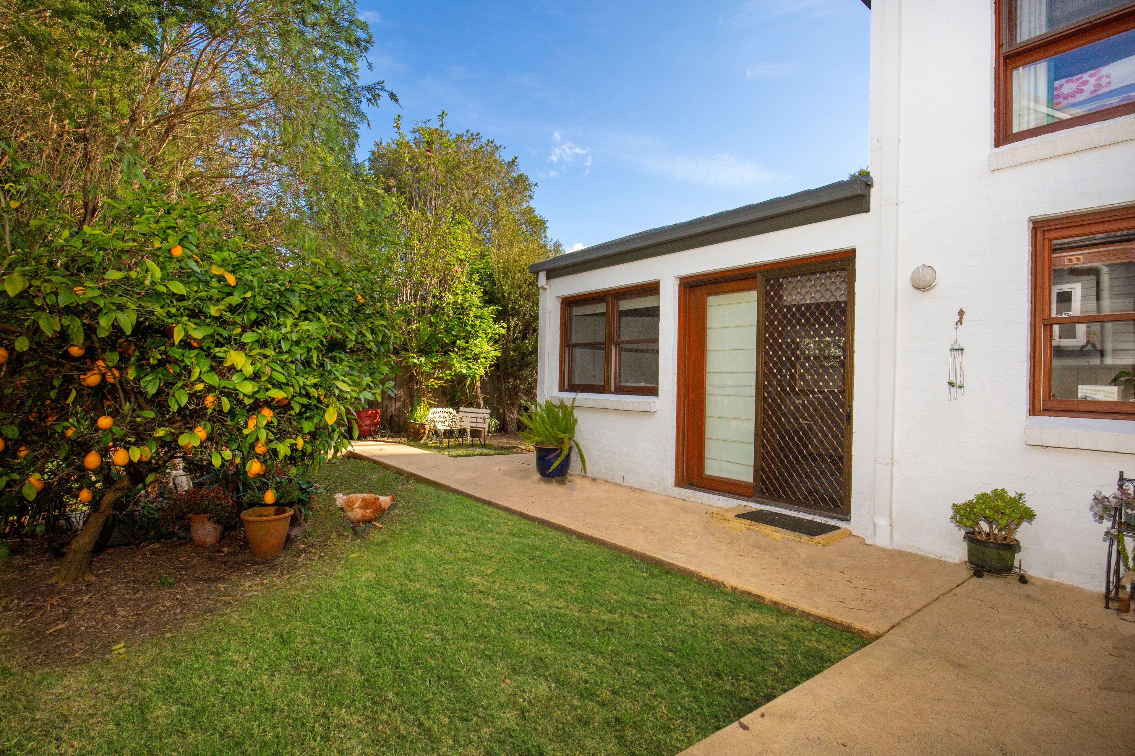 26 Princess Street, Berry NSW 2535, Berry - Thumbnail 4