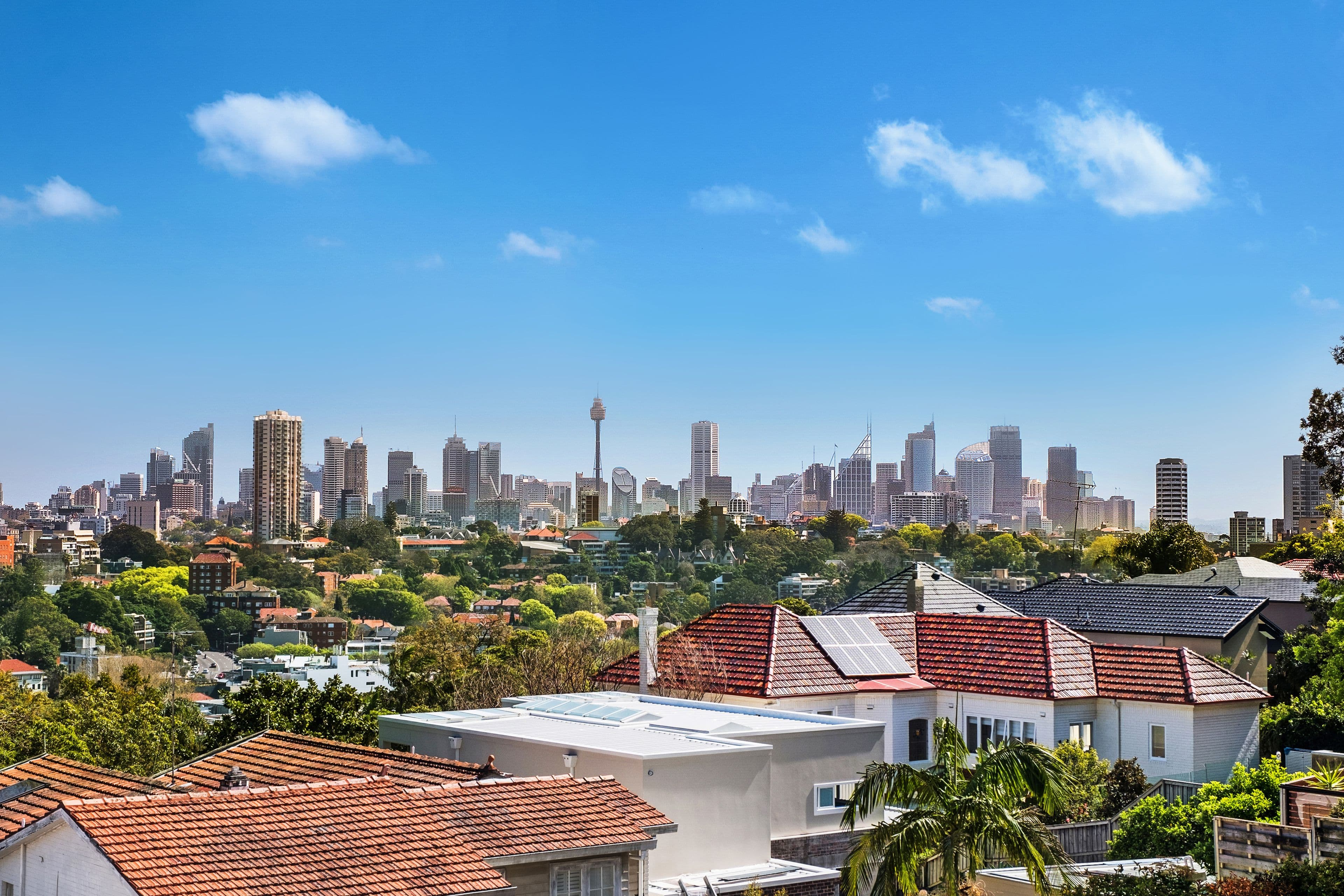 12 Bulkara Road, Bellevue Hill - Thumbnail 3